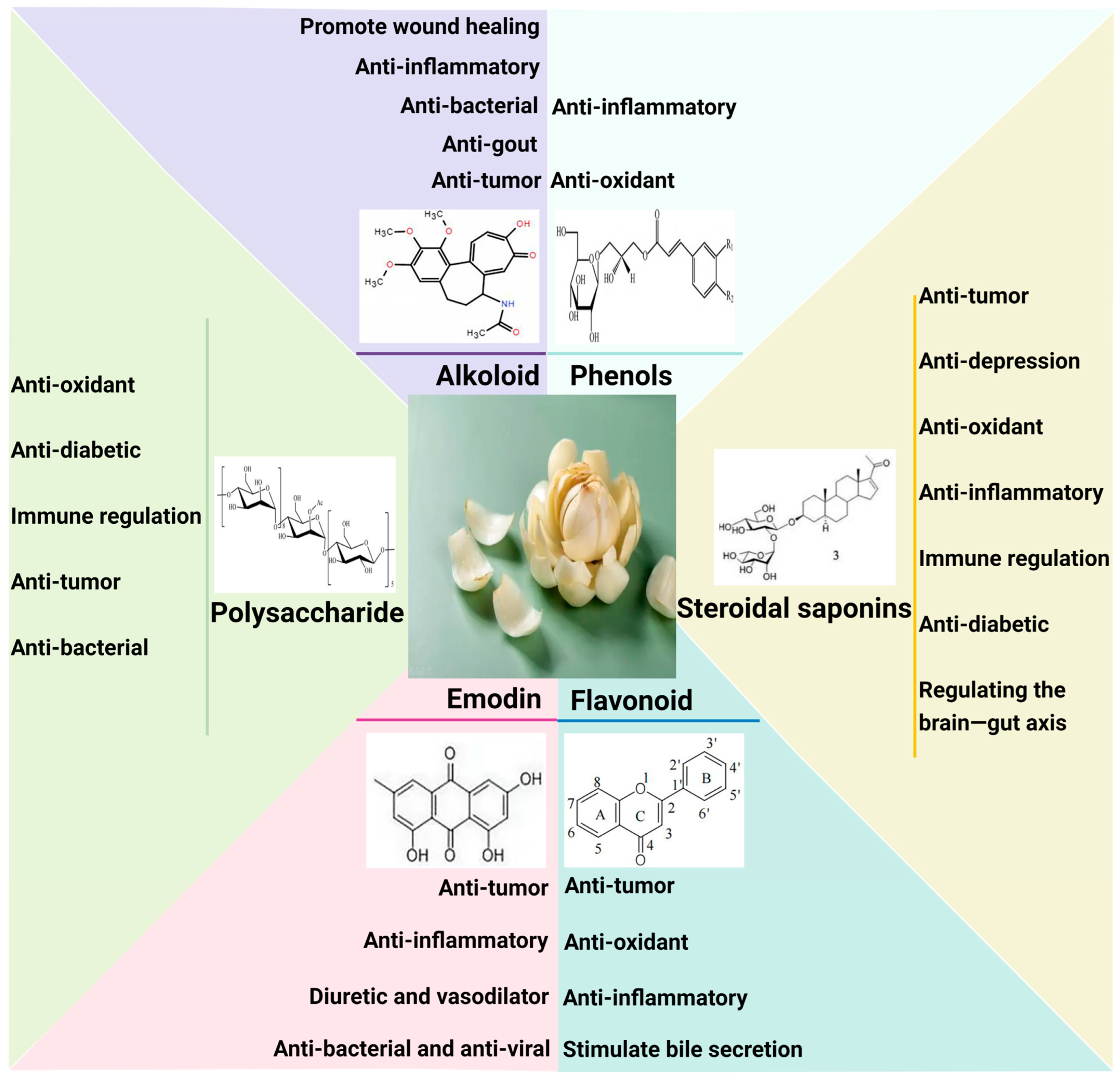Pharmaceuticals 17 01242 g002