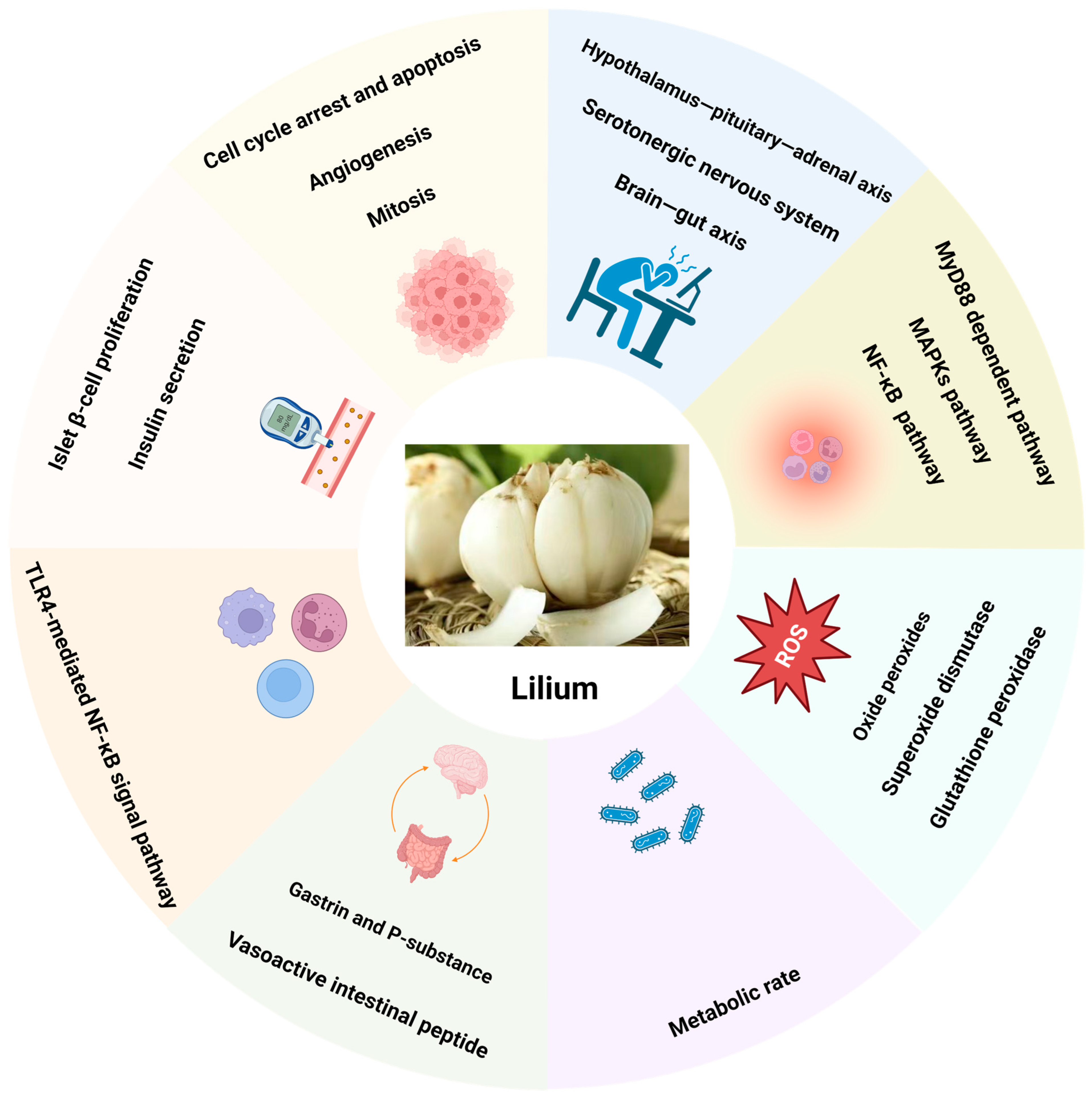 Pharmaceuticals 17 01242 g003