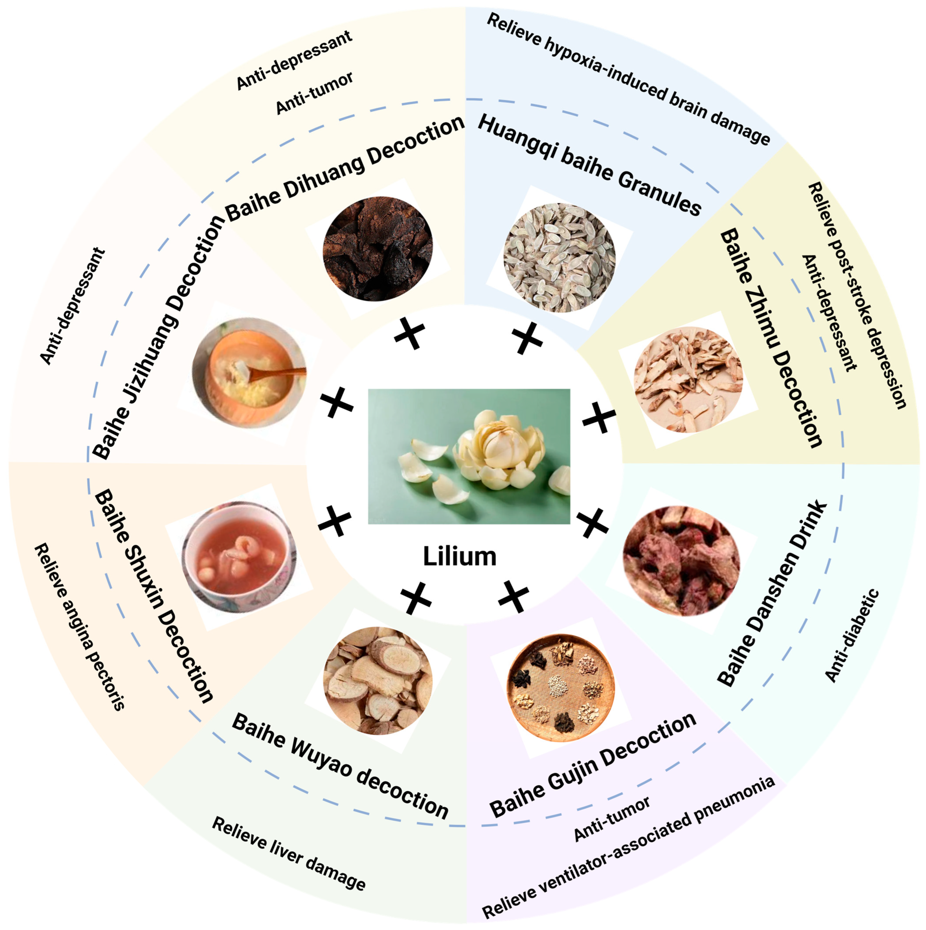 Pharmaceuticals 17 01242 g004