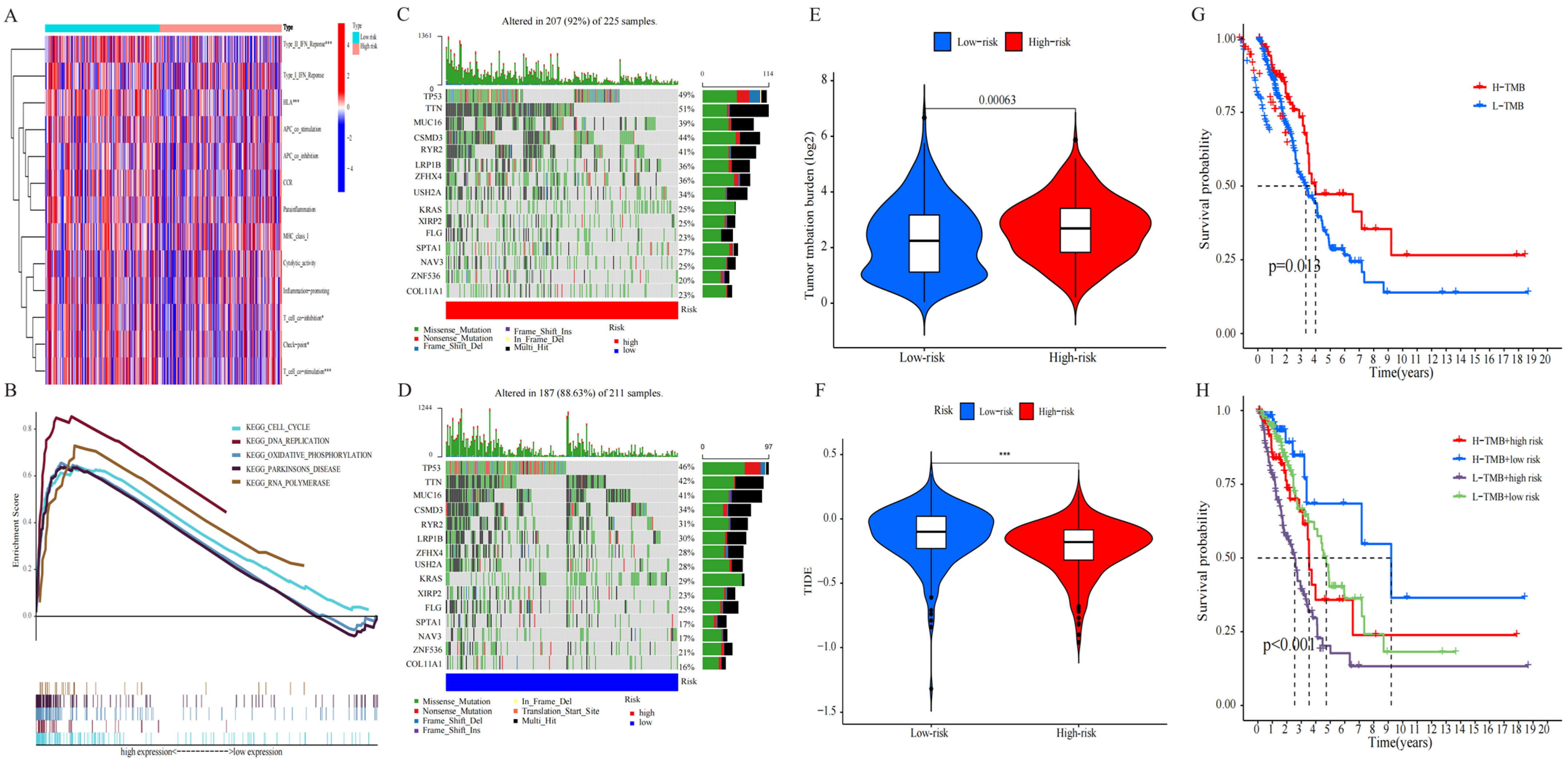 Pharmaceuticals 17 01244 g007