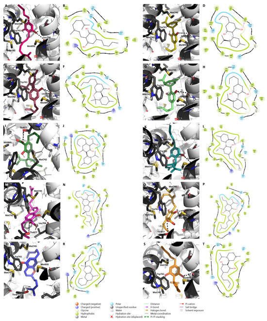 Pharmaceuticals 17 01245 g006