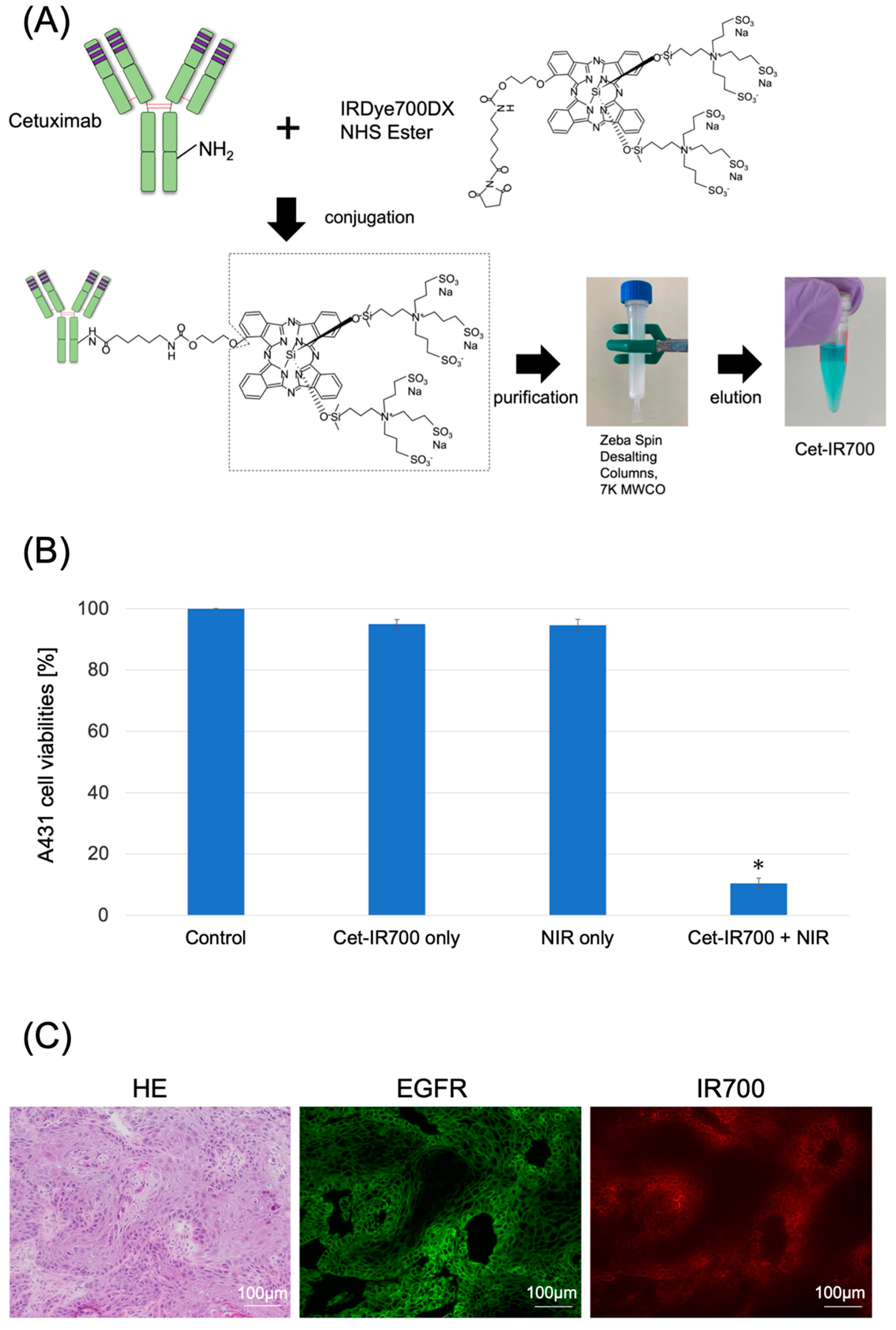 Pharmaceuticals 17 01246 g001
