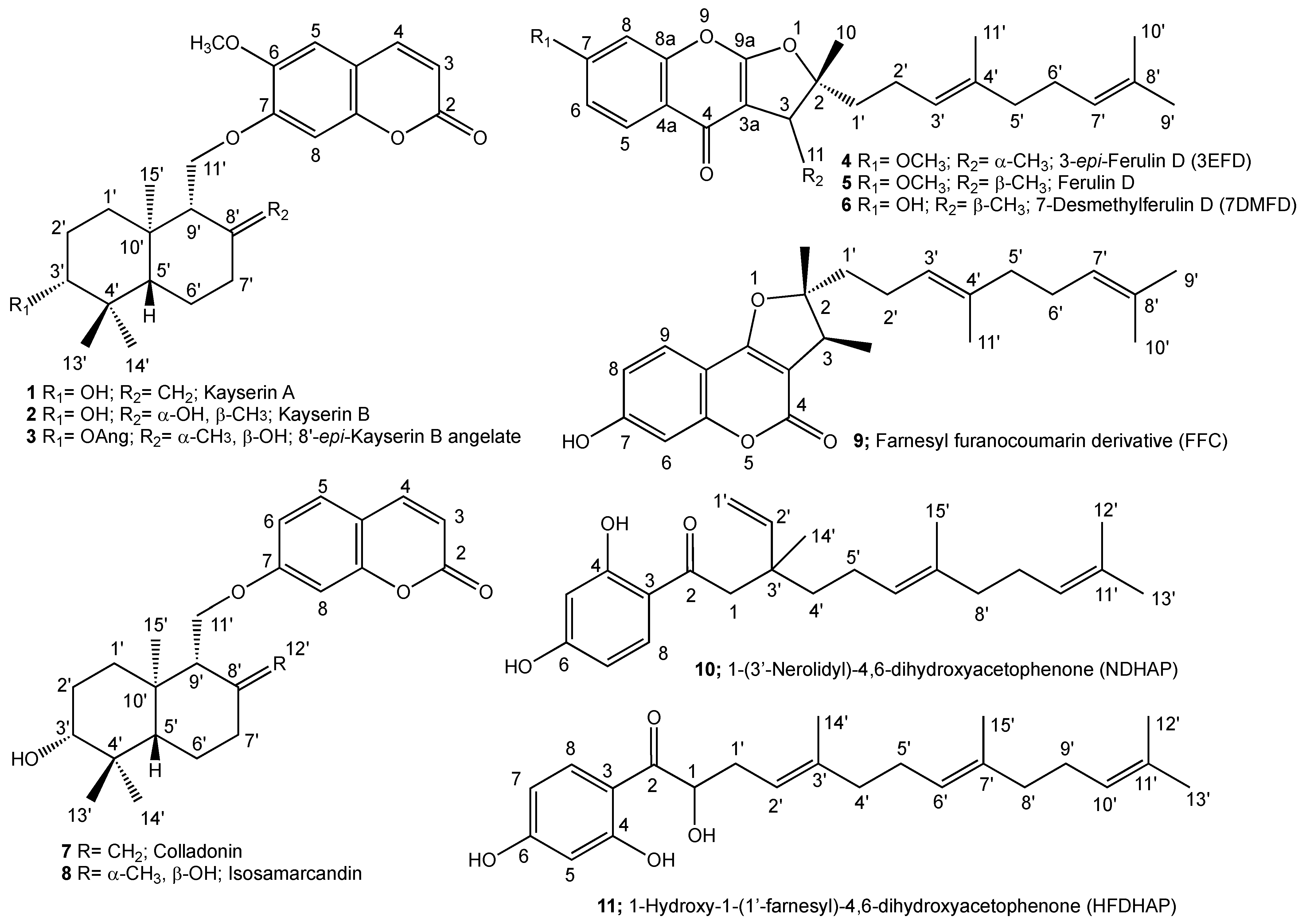 Pharmaceuticals 17 01254 g001