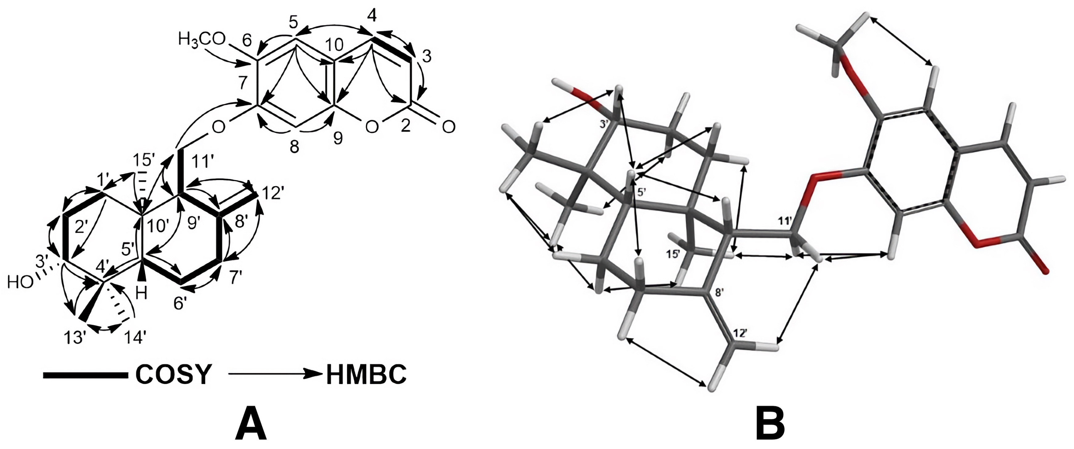 Pharmaceuticals 17 01254 g002