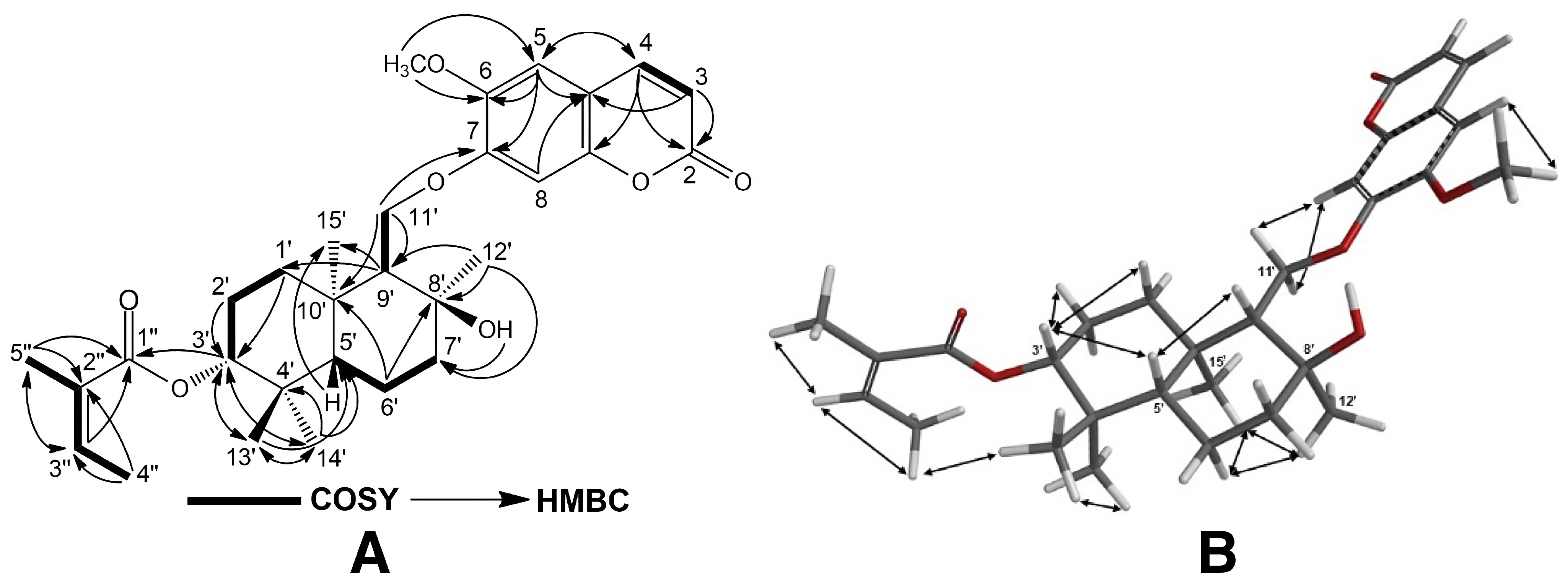 Pharmaceuticals 17 01254 g004