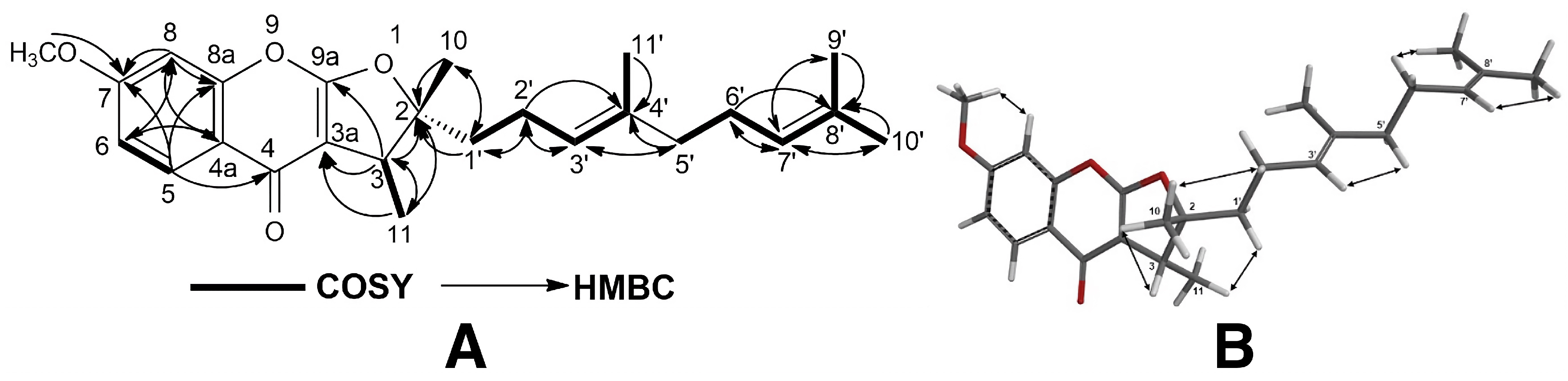 Pharmaceuticals 17 01254 g005