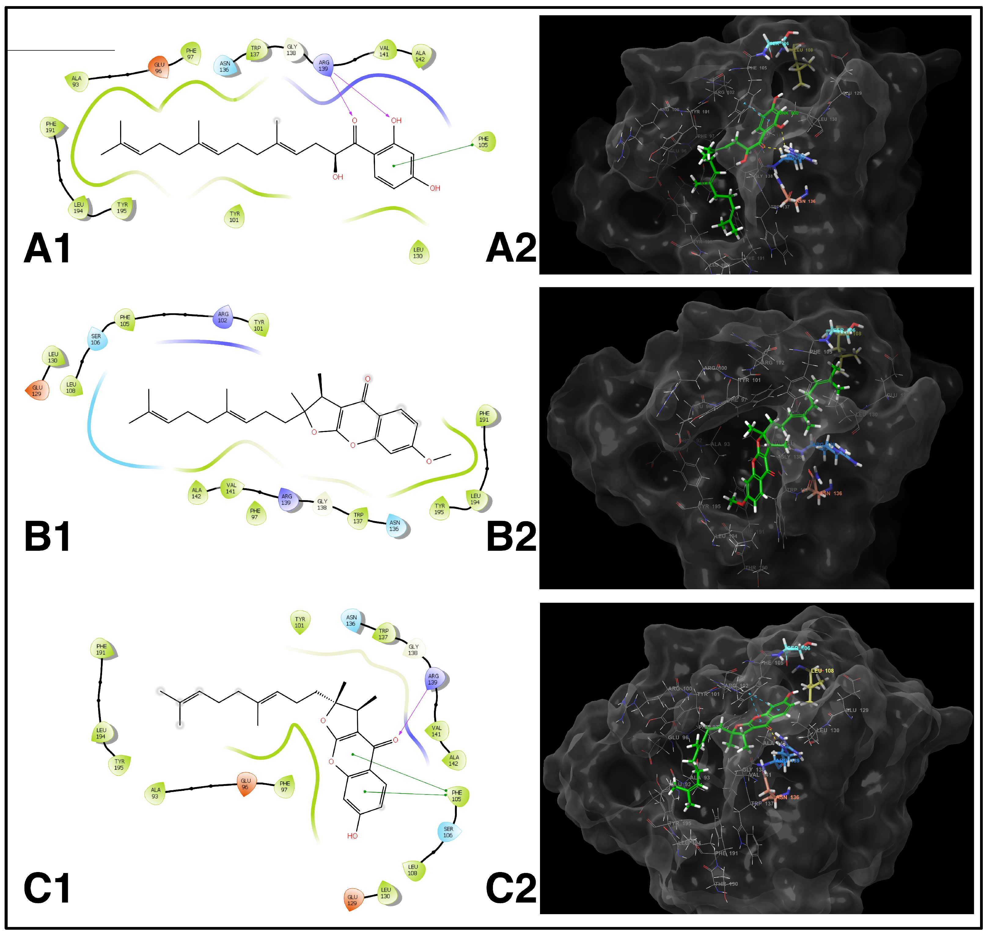 Pharmaceuticals 17 01254 g009