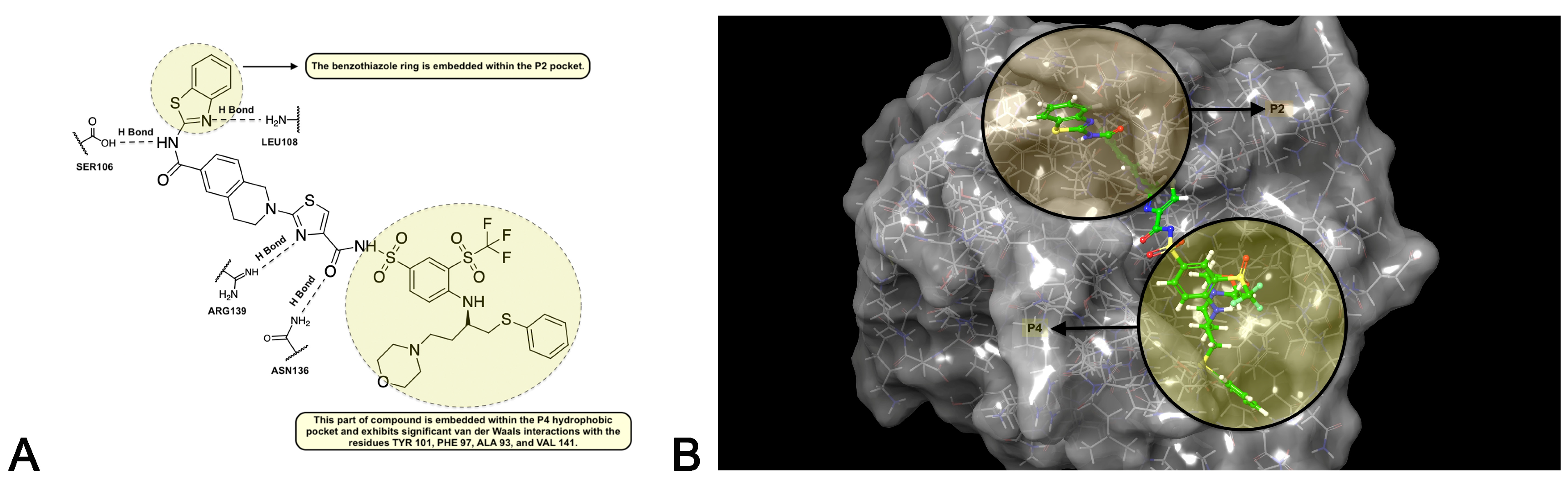 Pharmaceuticals 17 01254 g010