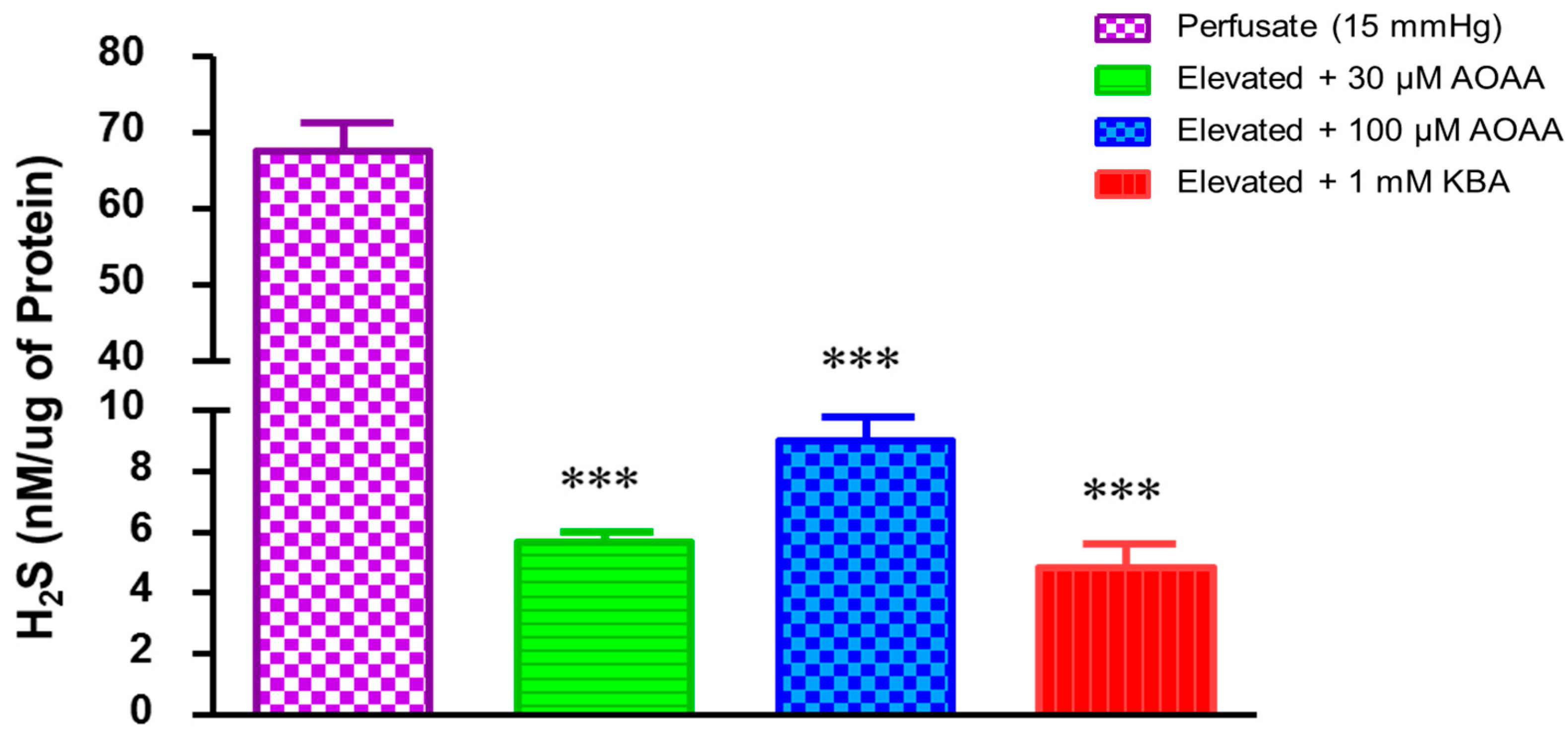Pharmaceuticals 17 01262 g003