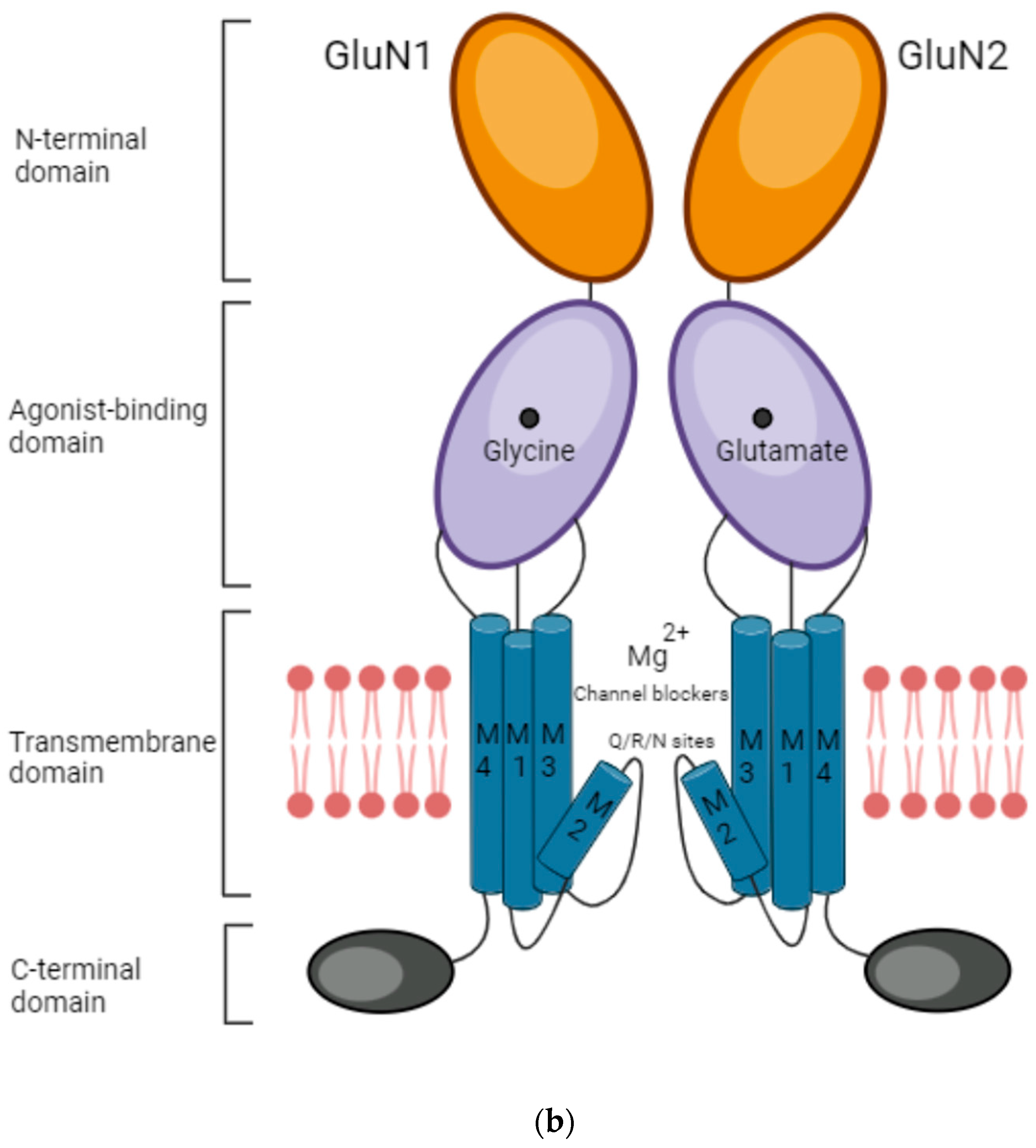 Pharmaceuticals 17 01265 g001b