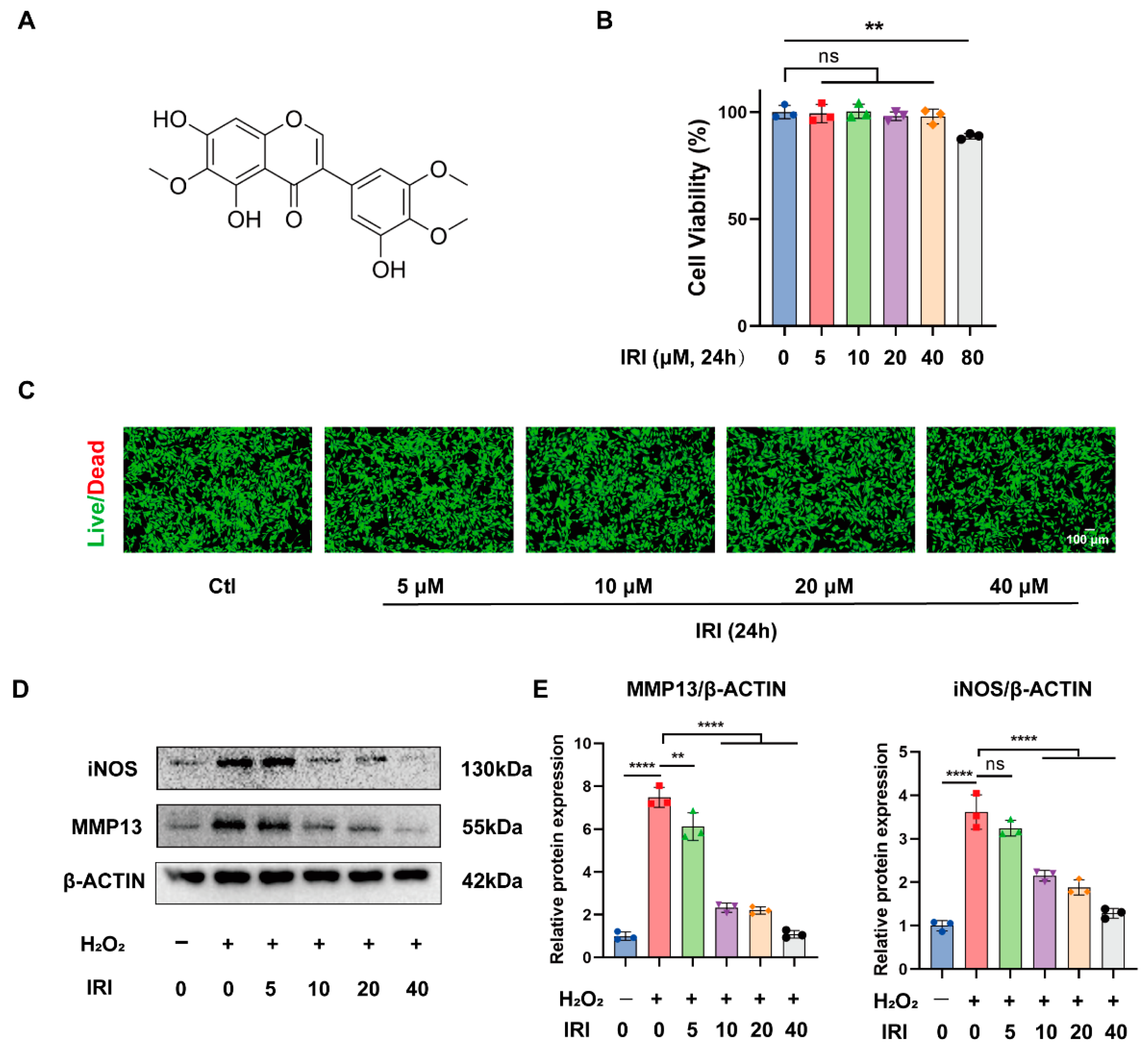 Pharmaceuticals 17 01268 g001