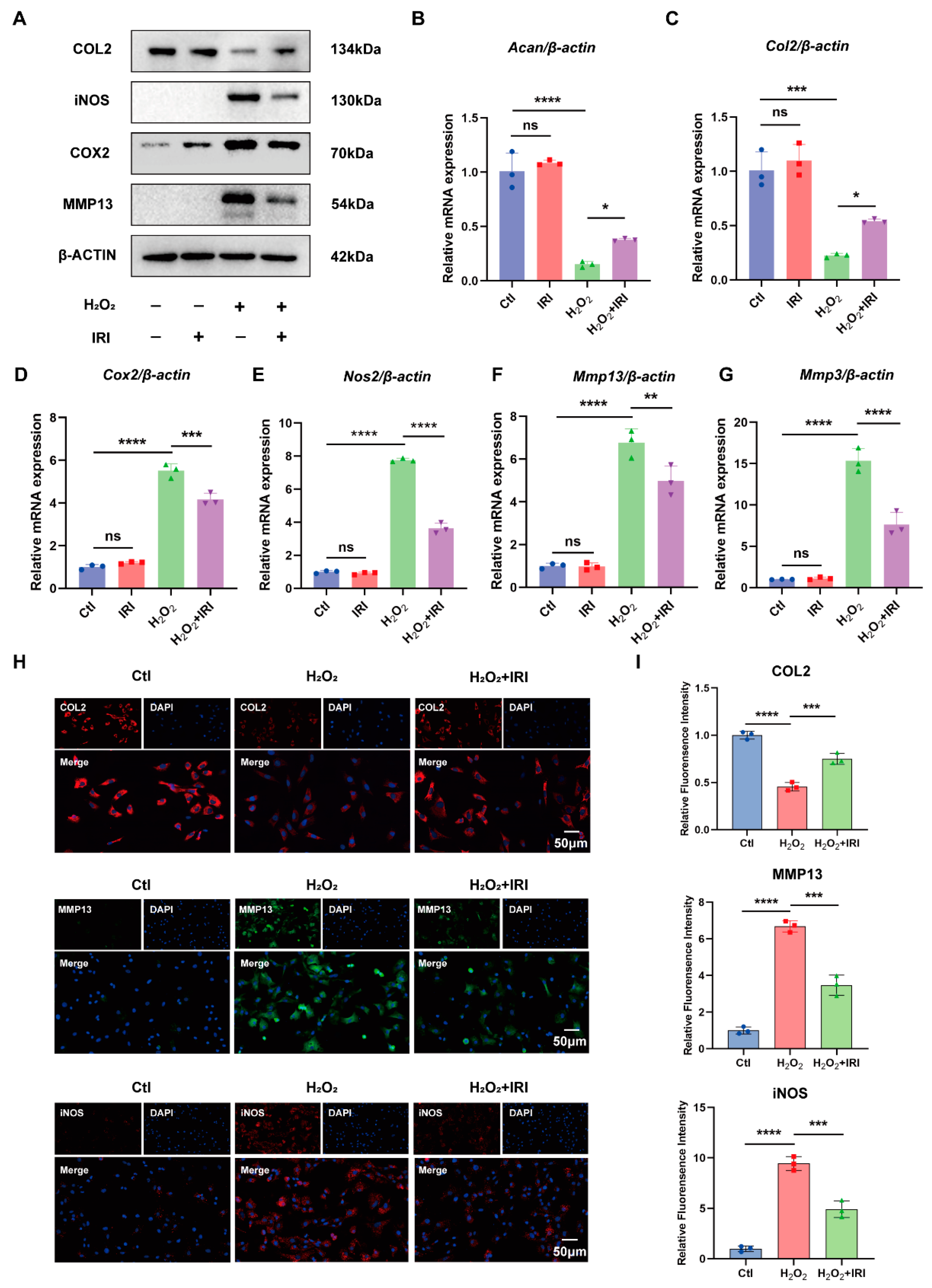 Pharmaceuticals 17 01268 g002