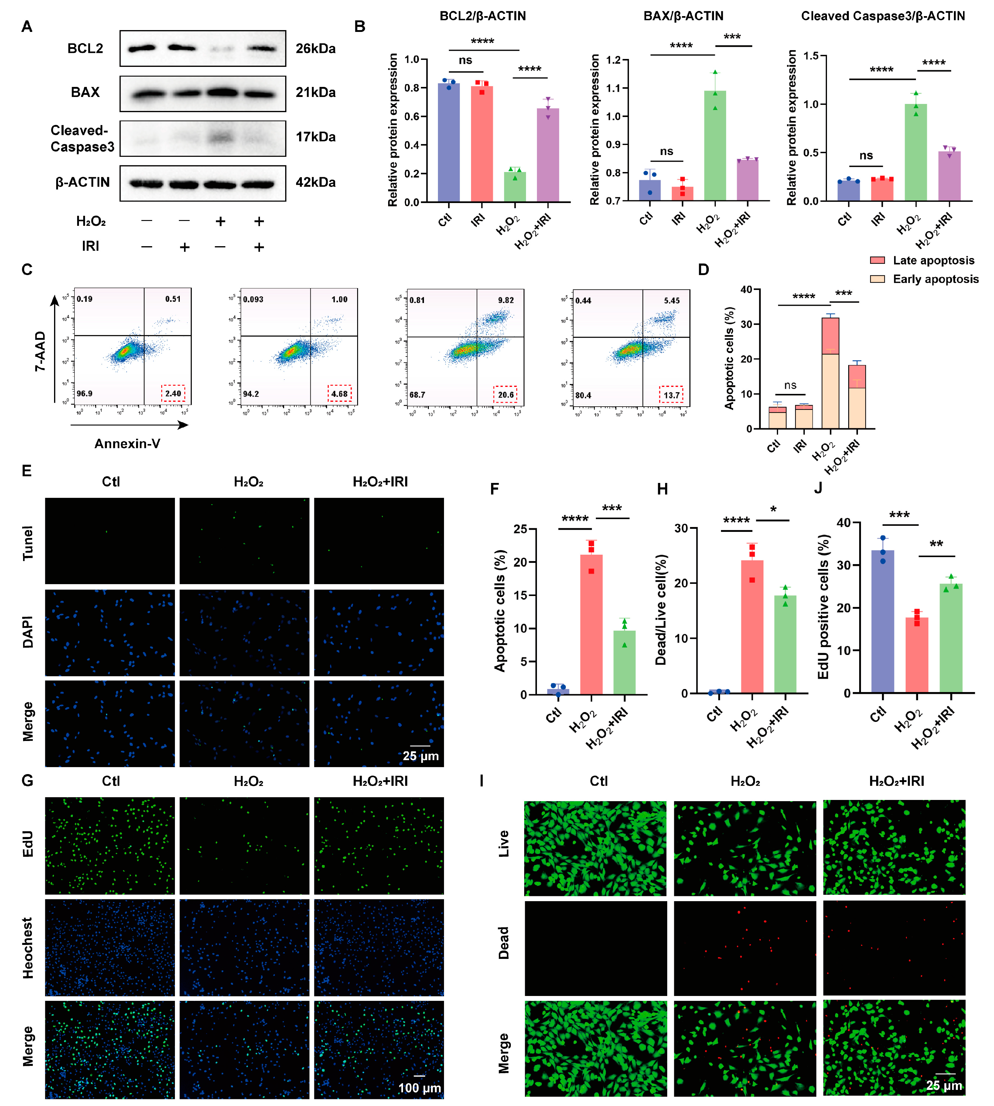 Pharmaceuticals 17 01268 g003