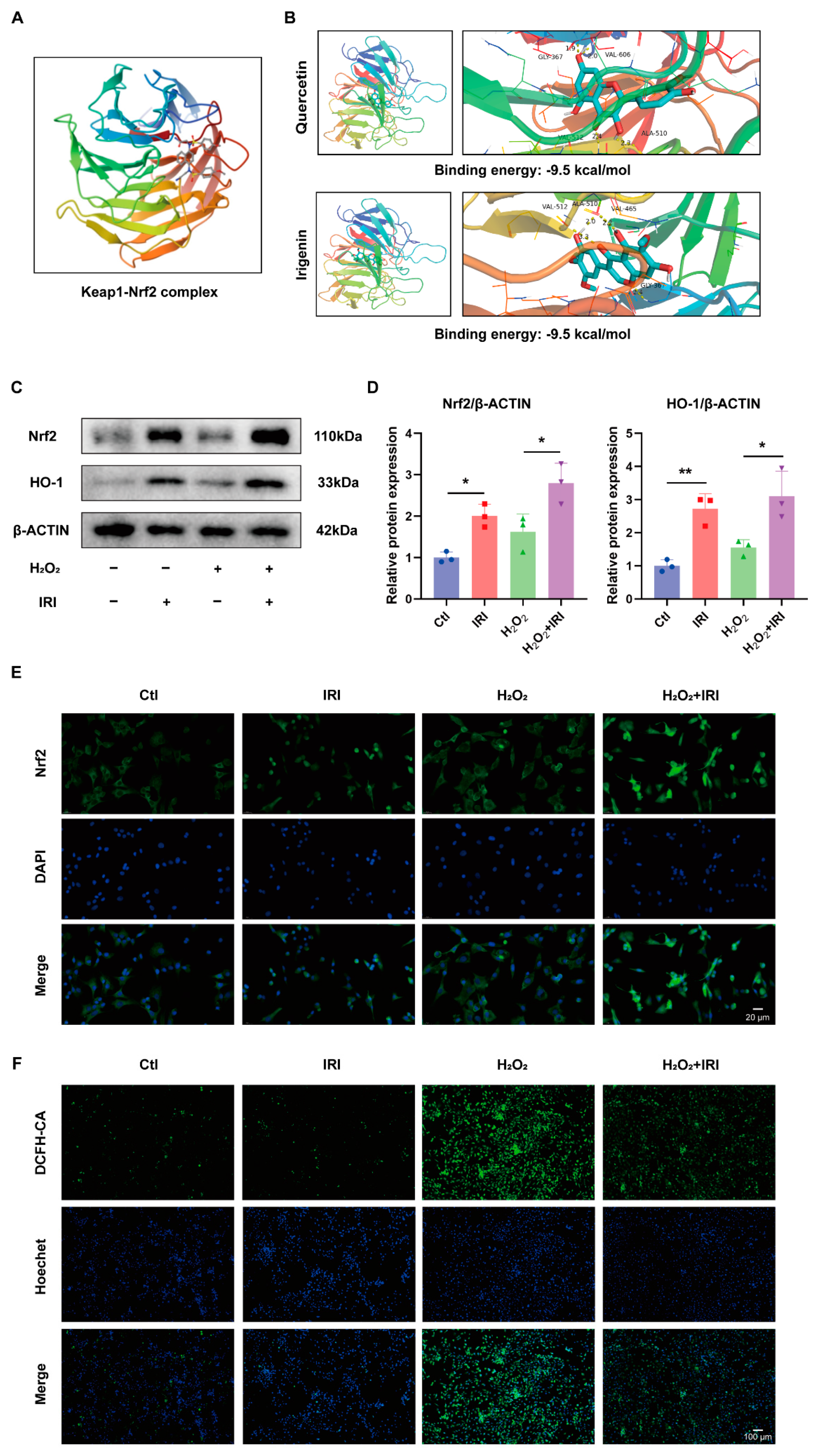 Pharmaceuticals 17 01268 g004