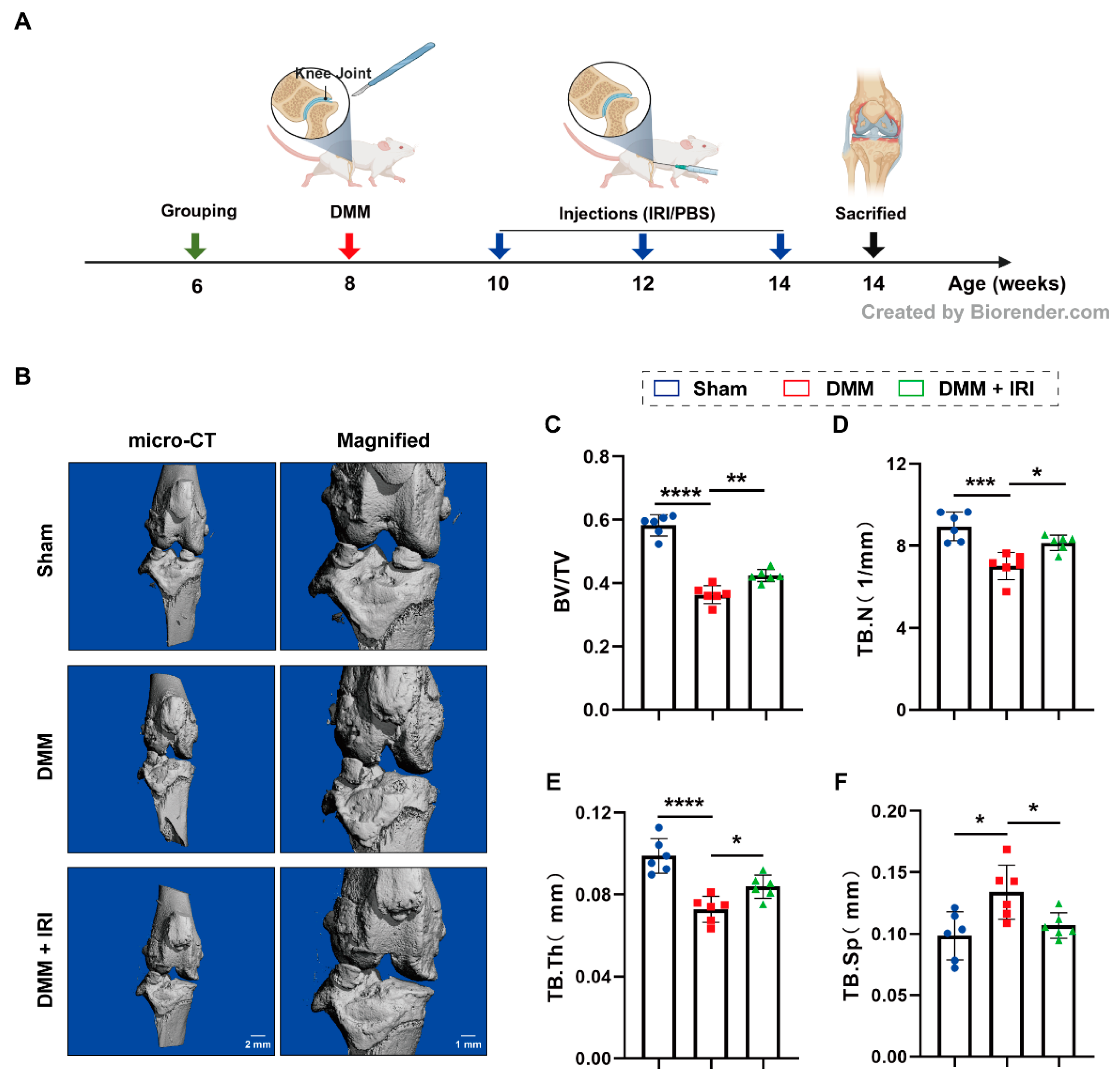 Pharmaceuticals 17 01268 g006