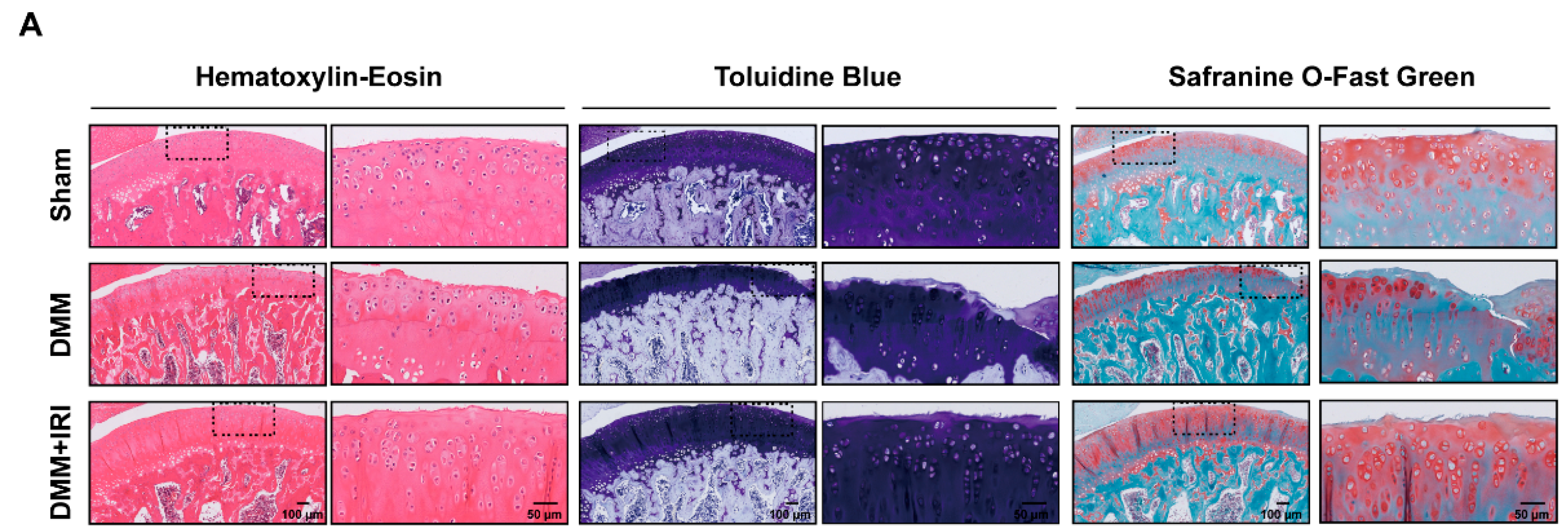 Pharmaceuticals 17 01268 g007a