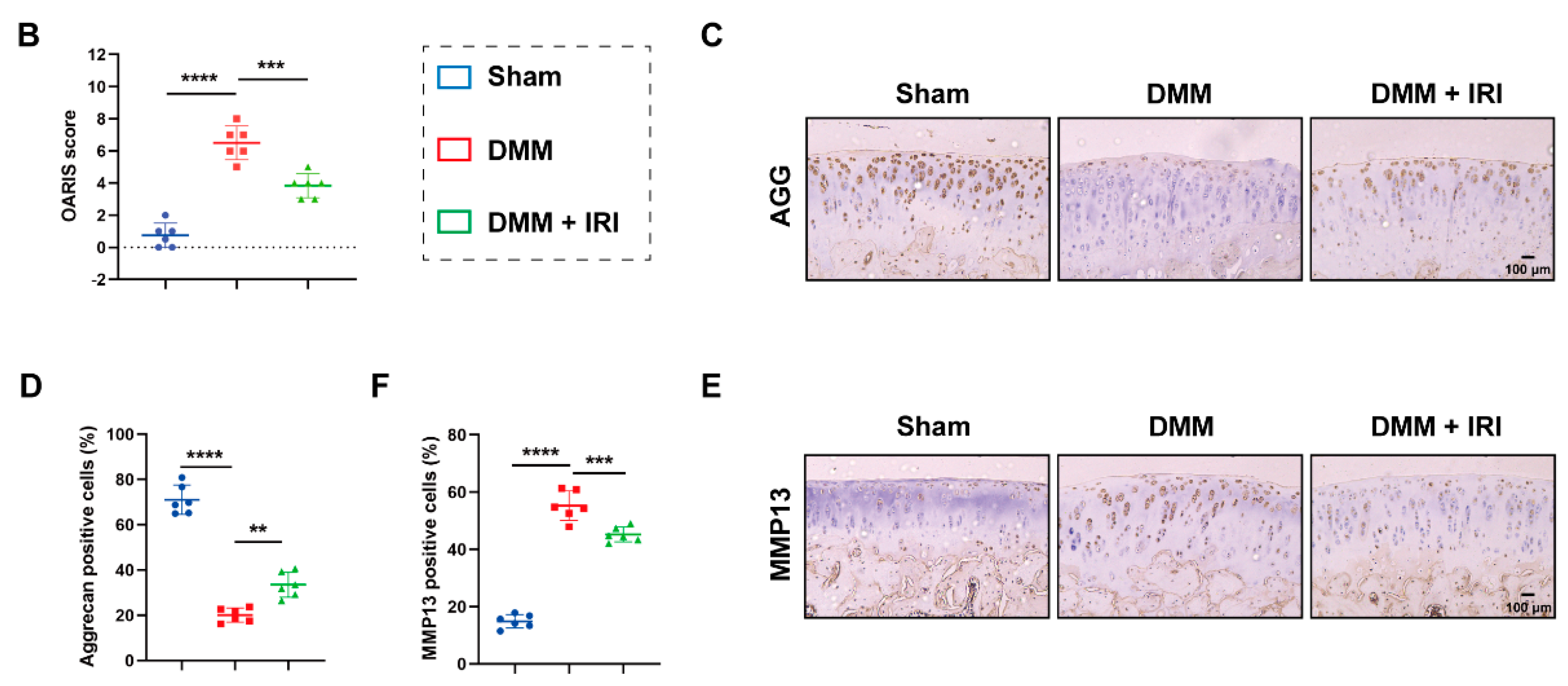 Pharmaceuticals 17 01268 g007b