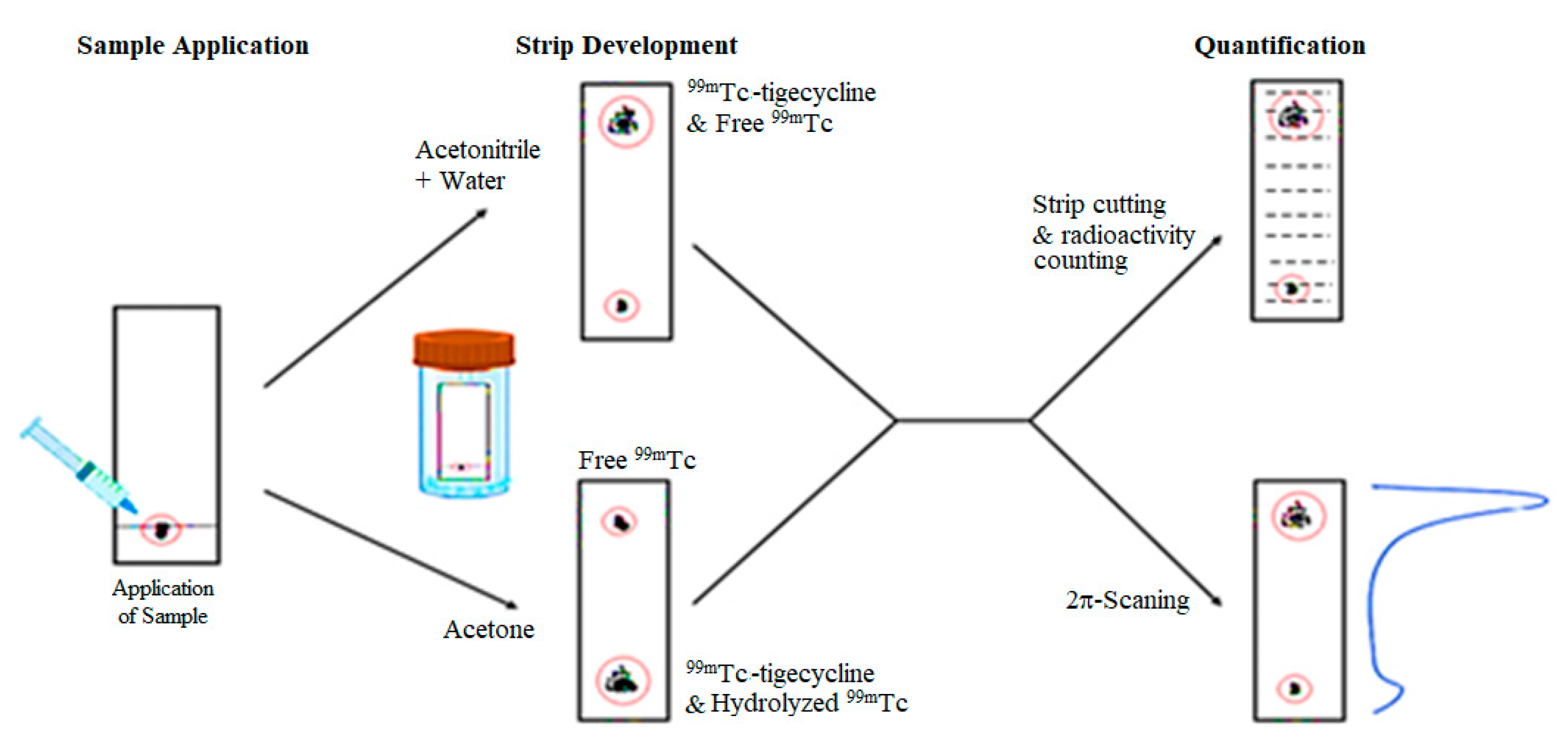 Pharmaceuticals 17 01283 g003