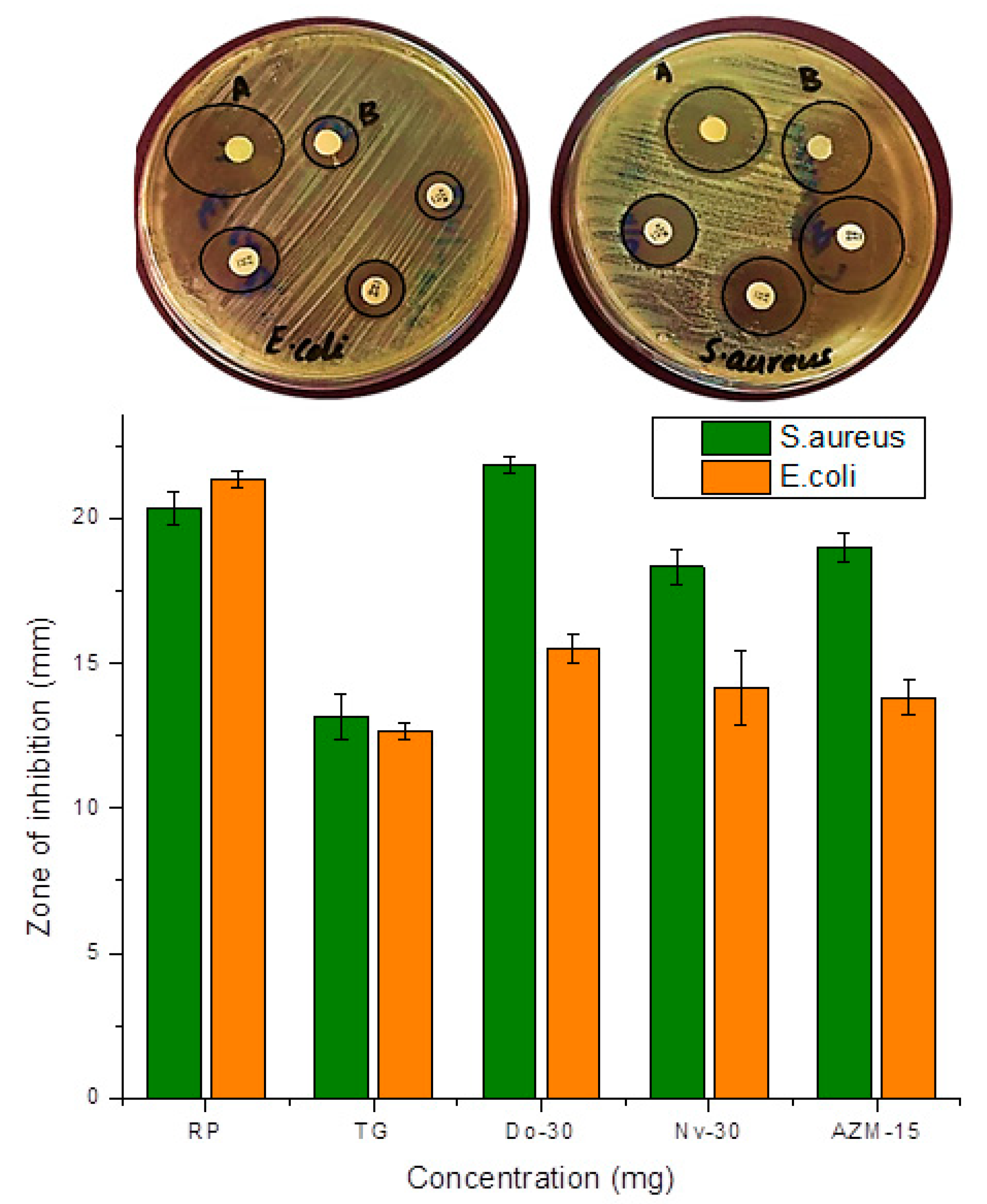 Pharmaceuticals 17 01283 g006