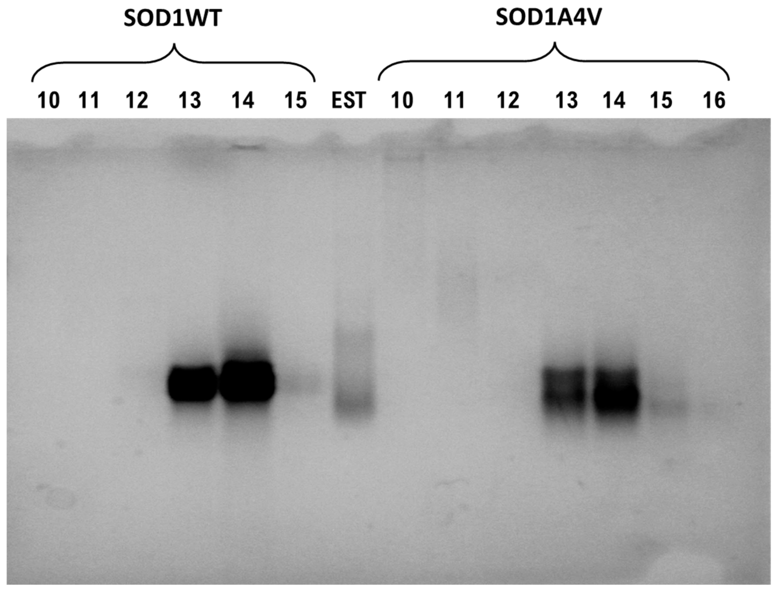 Pharmaceuticals 17 01286 g001