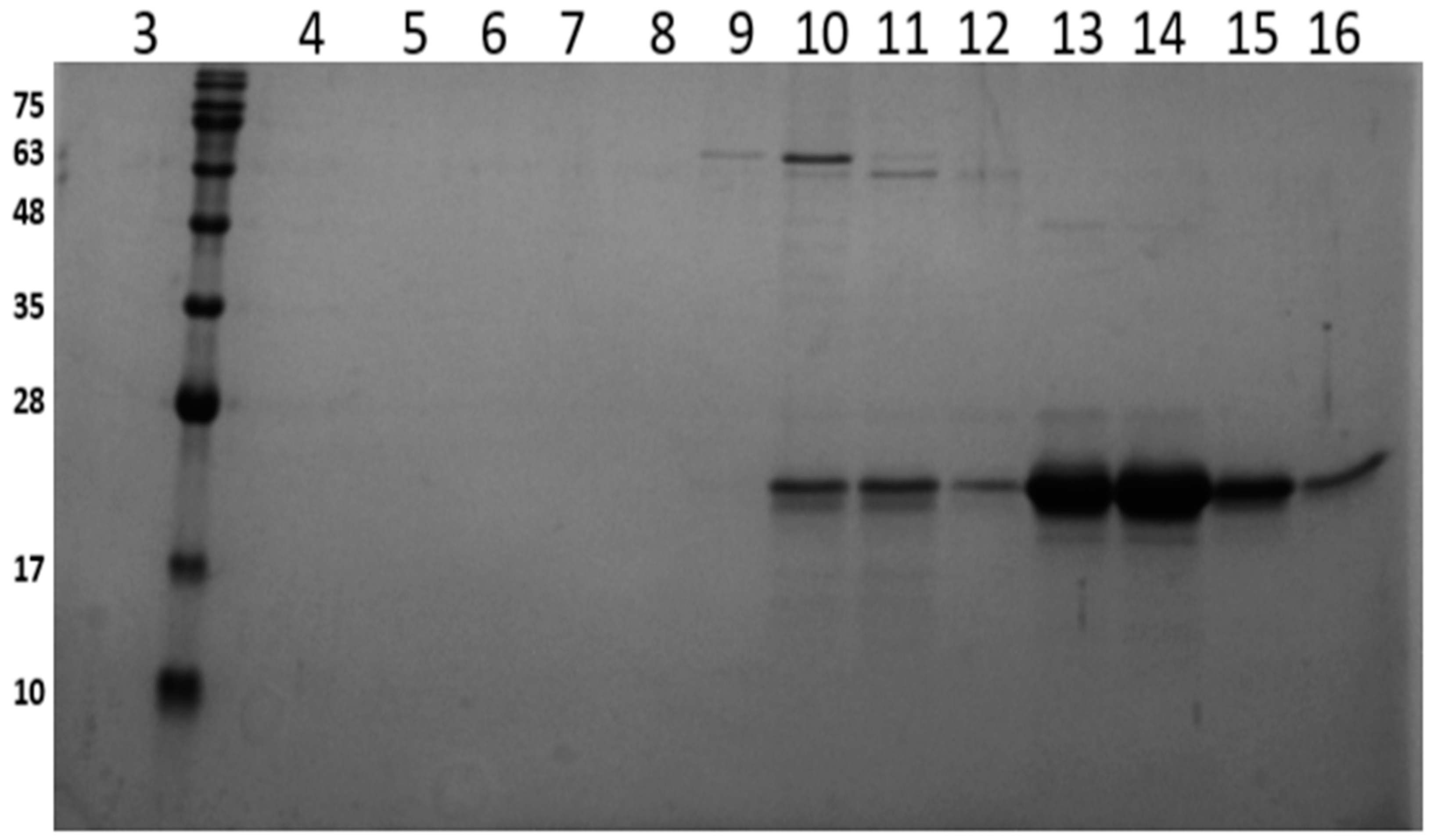 Pharmaceuticals 17 01286 g003b