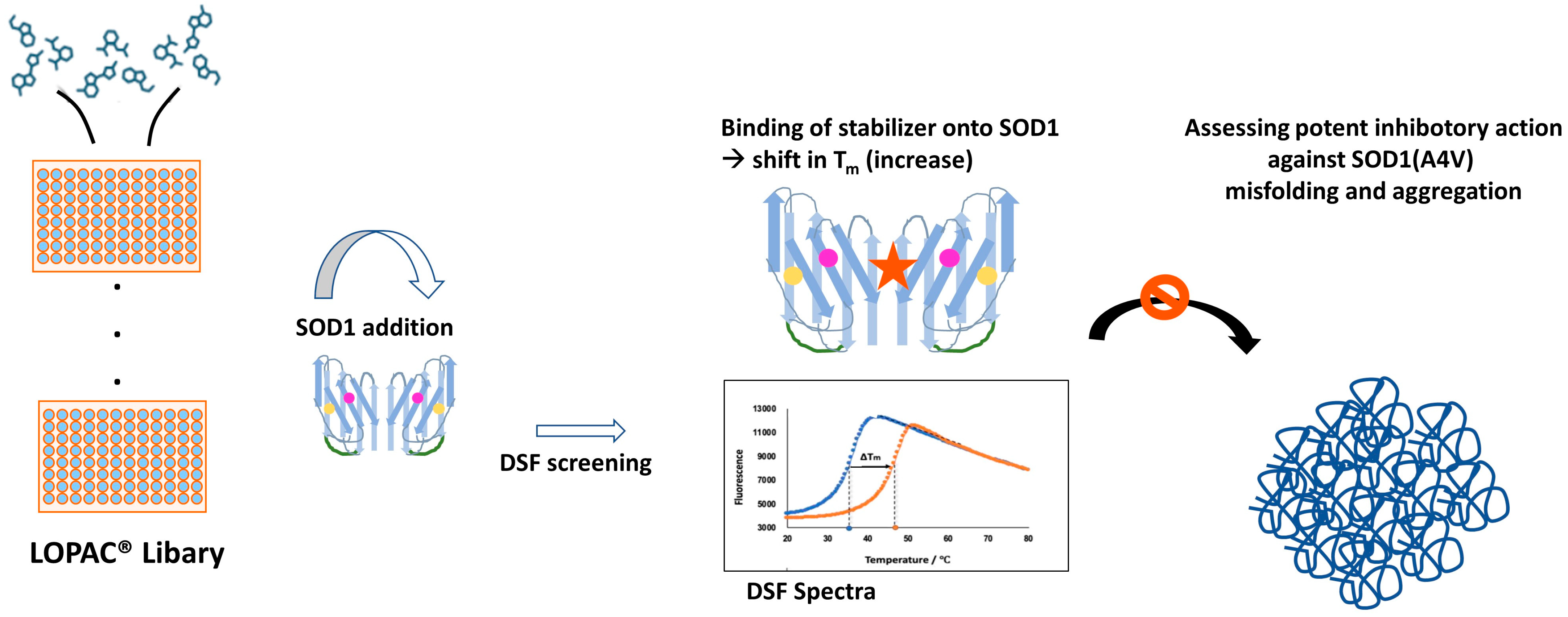 Pharmaceuticals 17 01286 g007