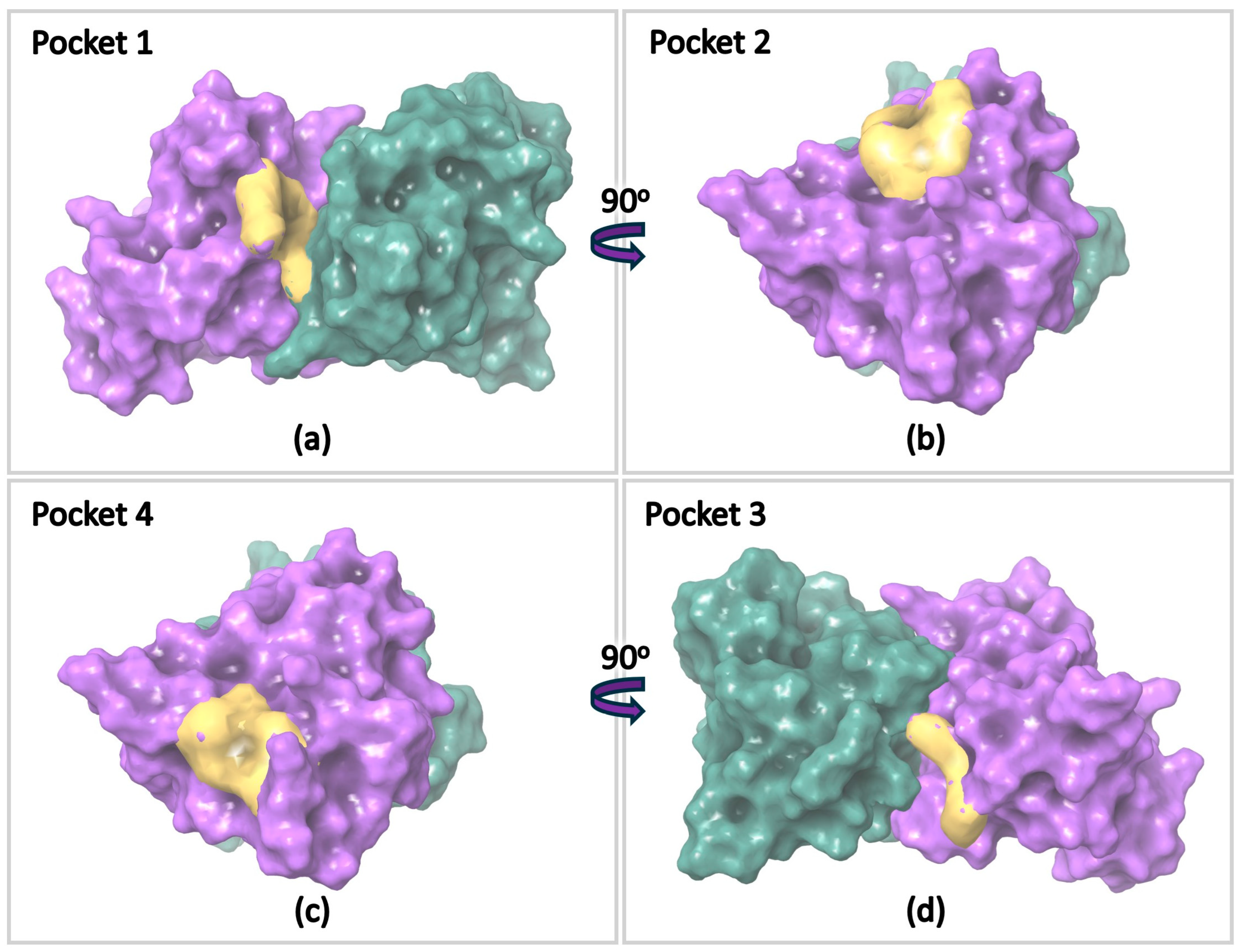 Pharmaceuticals 17 01286 g011