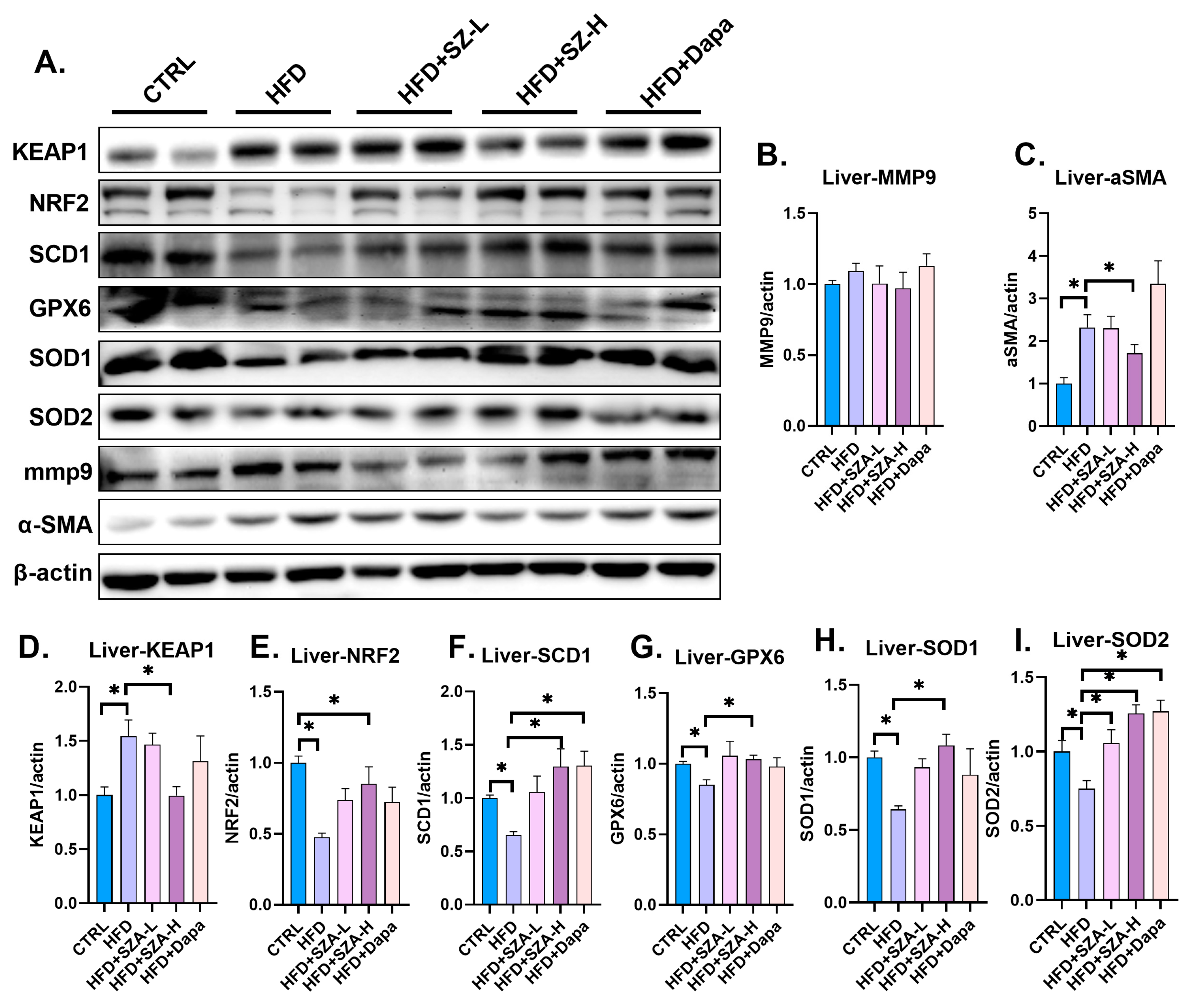Pharmaceuticals 17 01287 g004