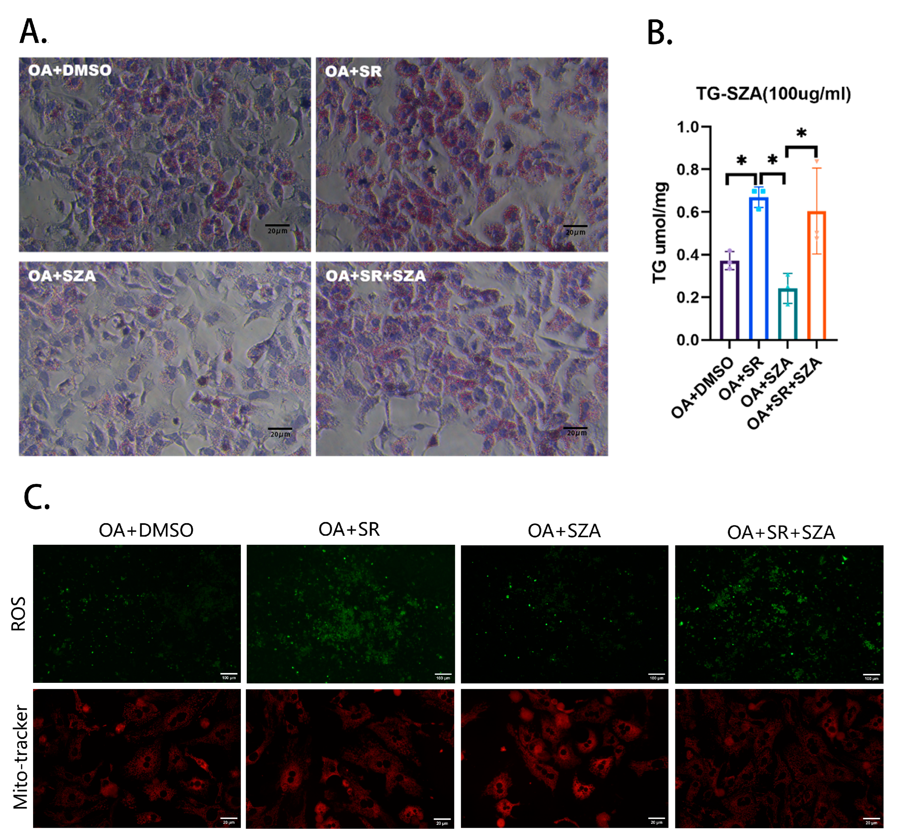 Pharmaceuticals 17 01287 g005