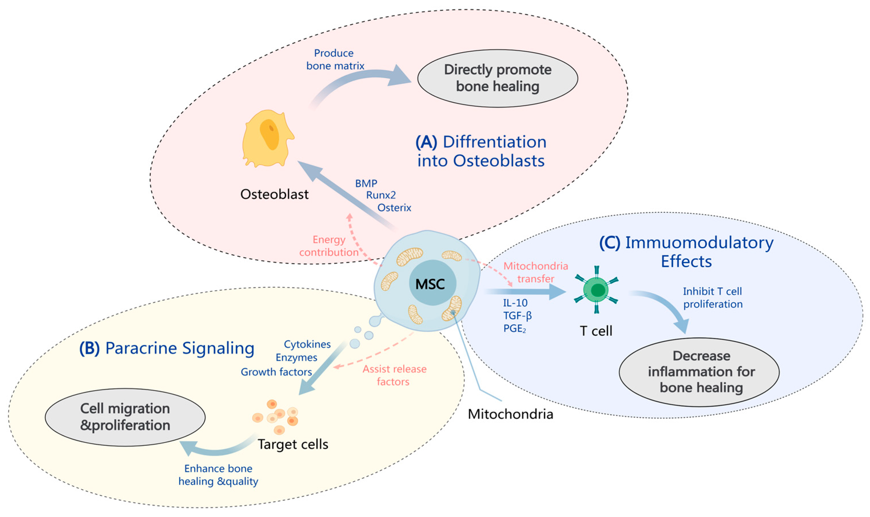 Pharmaceuticals 17 01297 g001