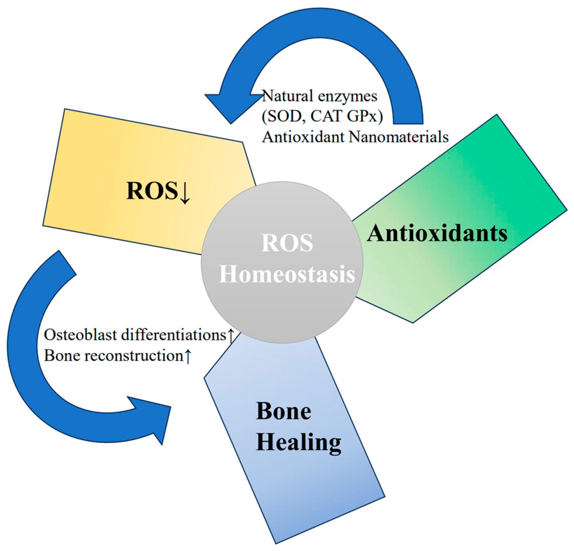 Pharmaceuticals 17 01297 g003