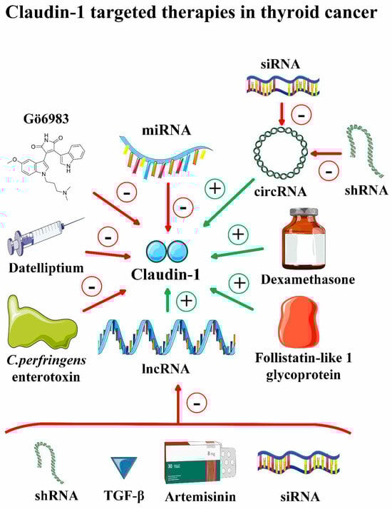Pharmaceuticals 17 01304 g004