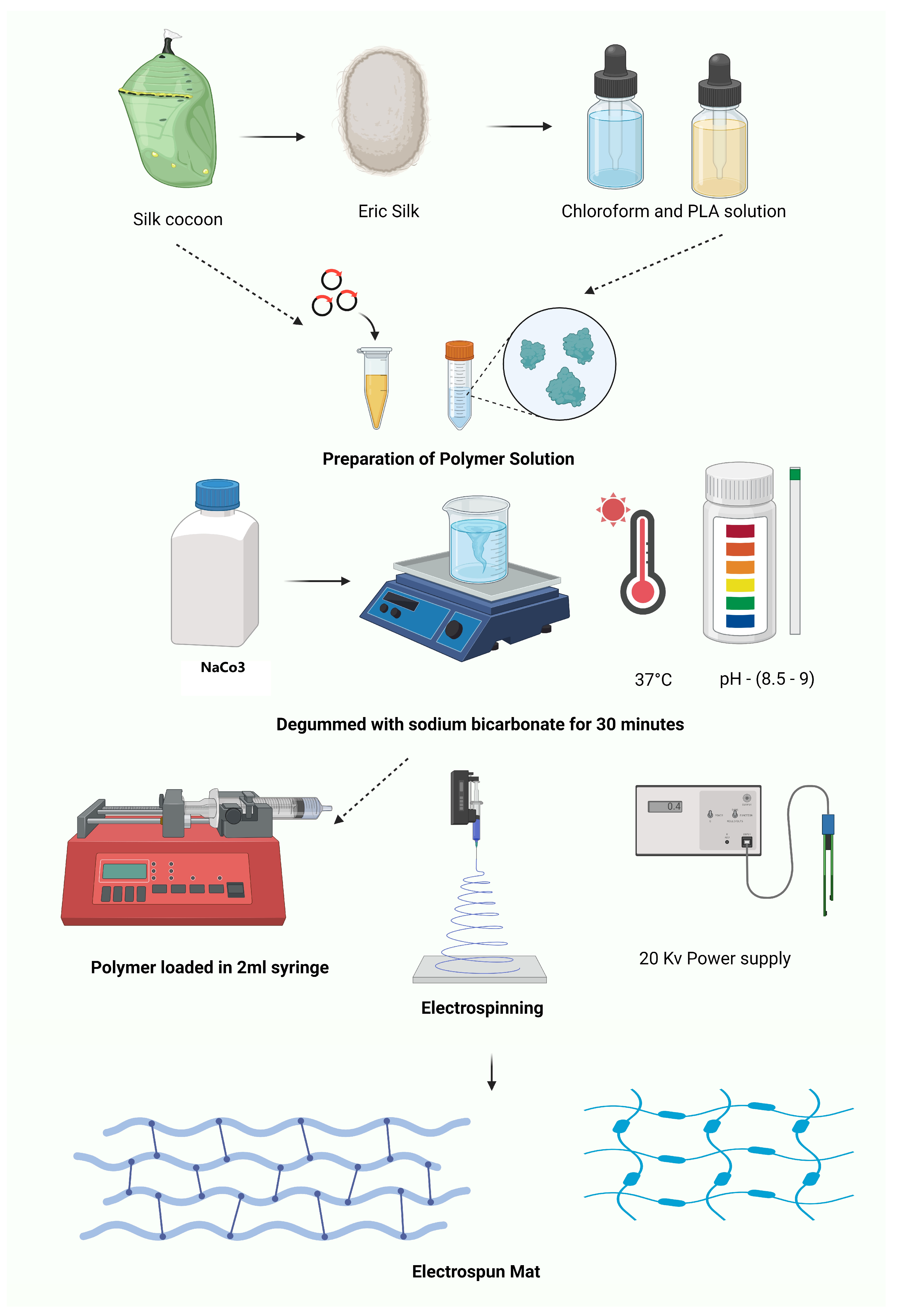 Pharmaceuticals 17 01305 g005