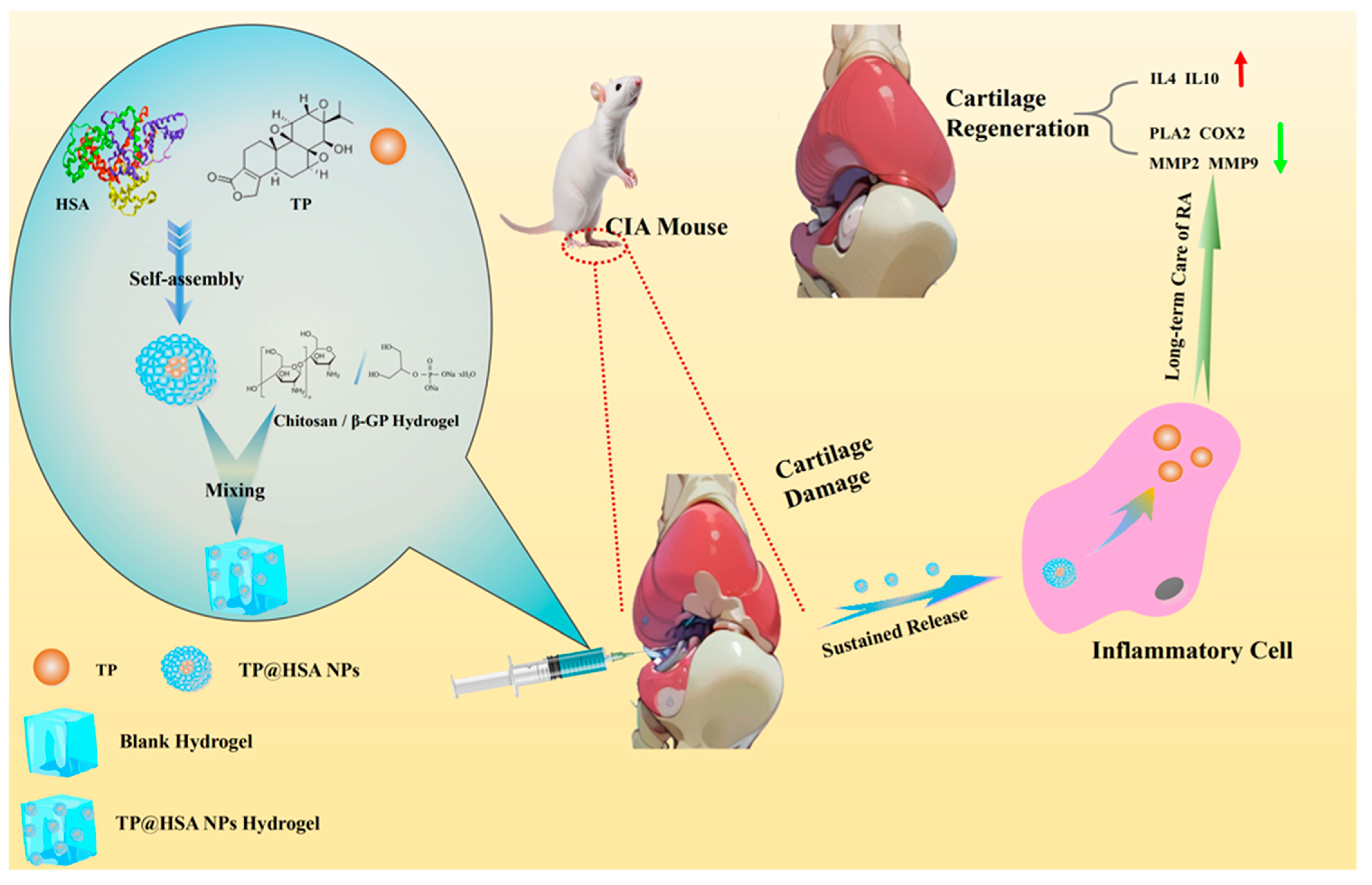 Pharmaceuticals 17 01312 g001