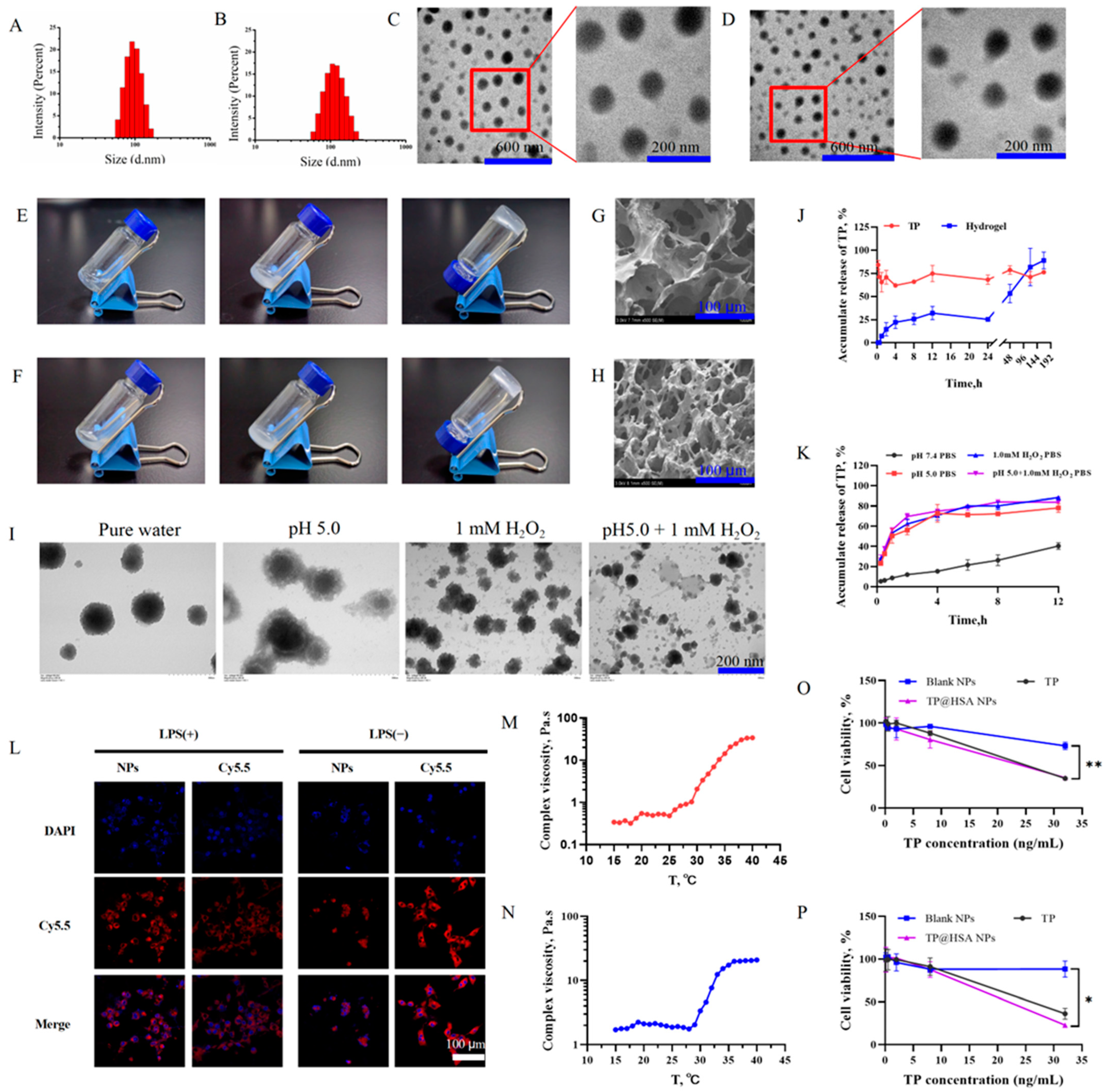 Pharmaceuticals 17 01312 g002