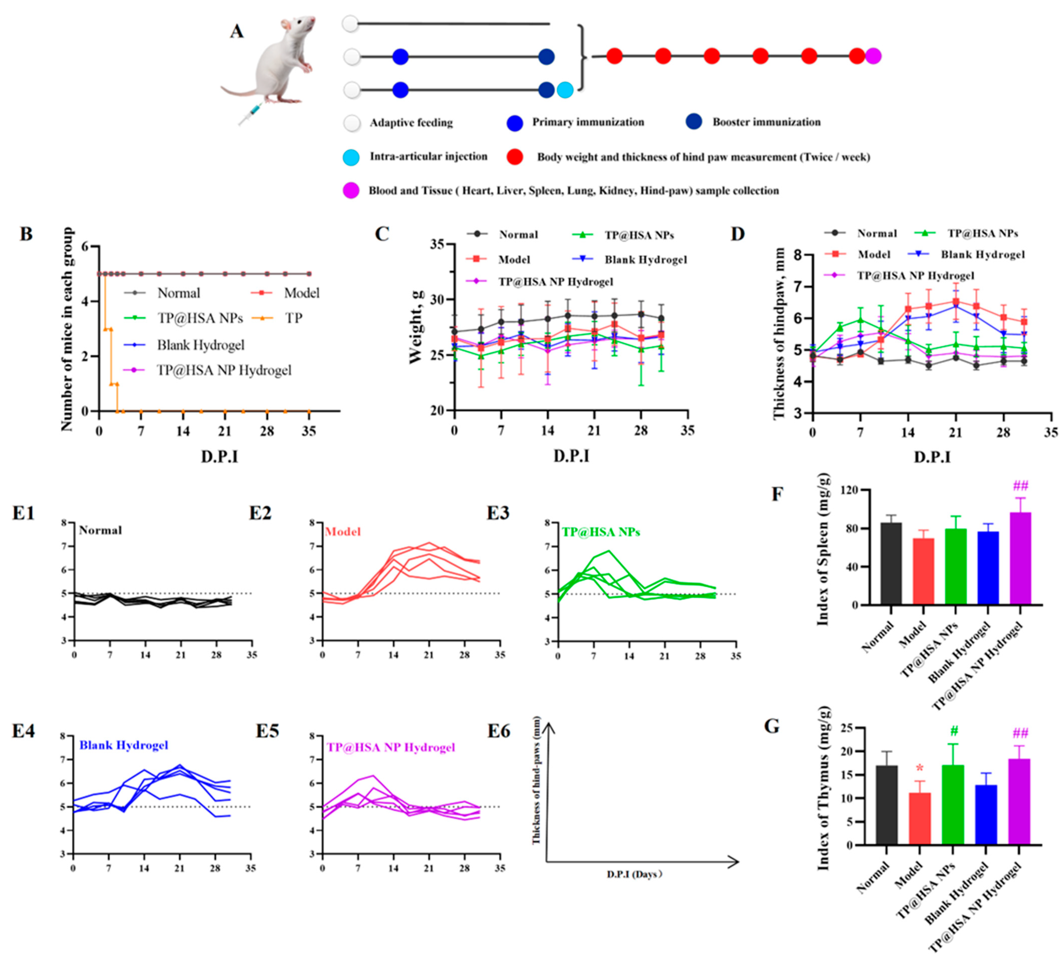 Pharmaceuticals 17 01312 g003