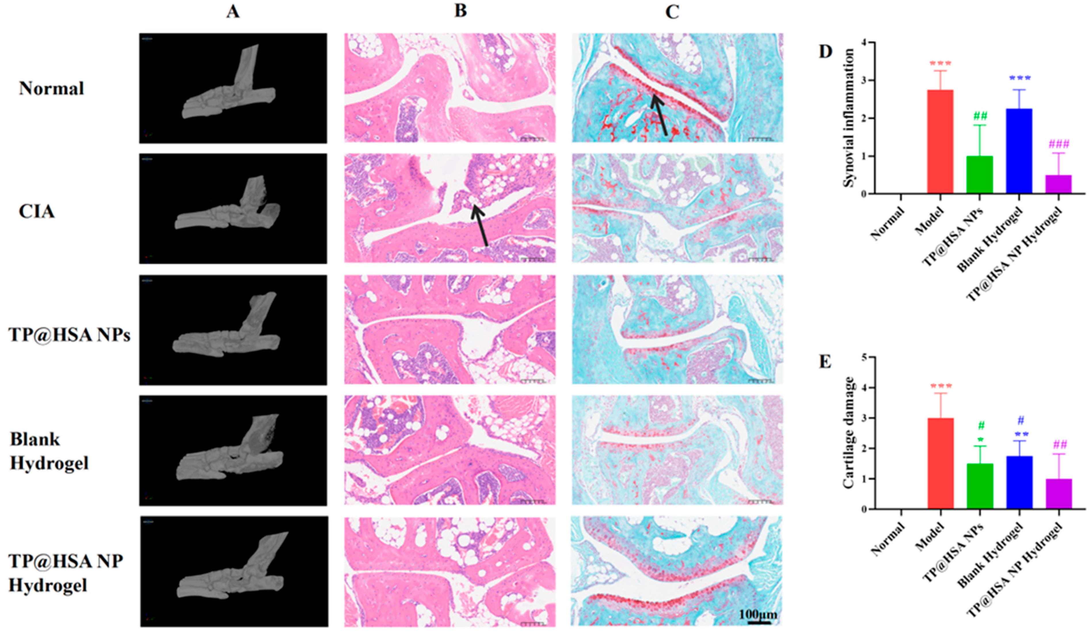 Pharmaceuticals 17 01312 g004