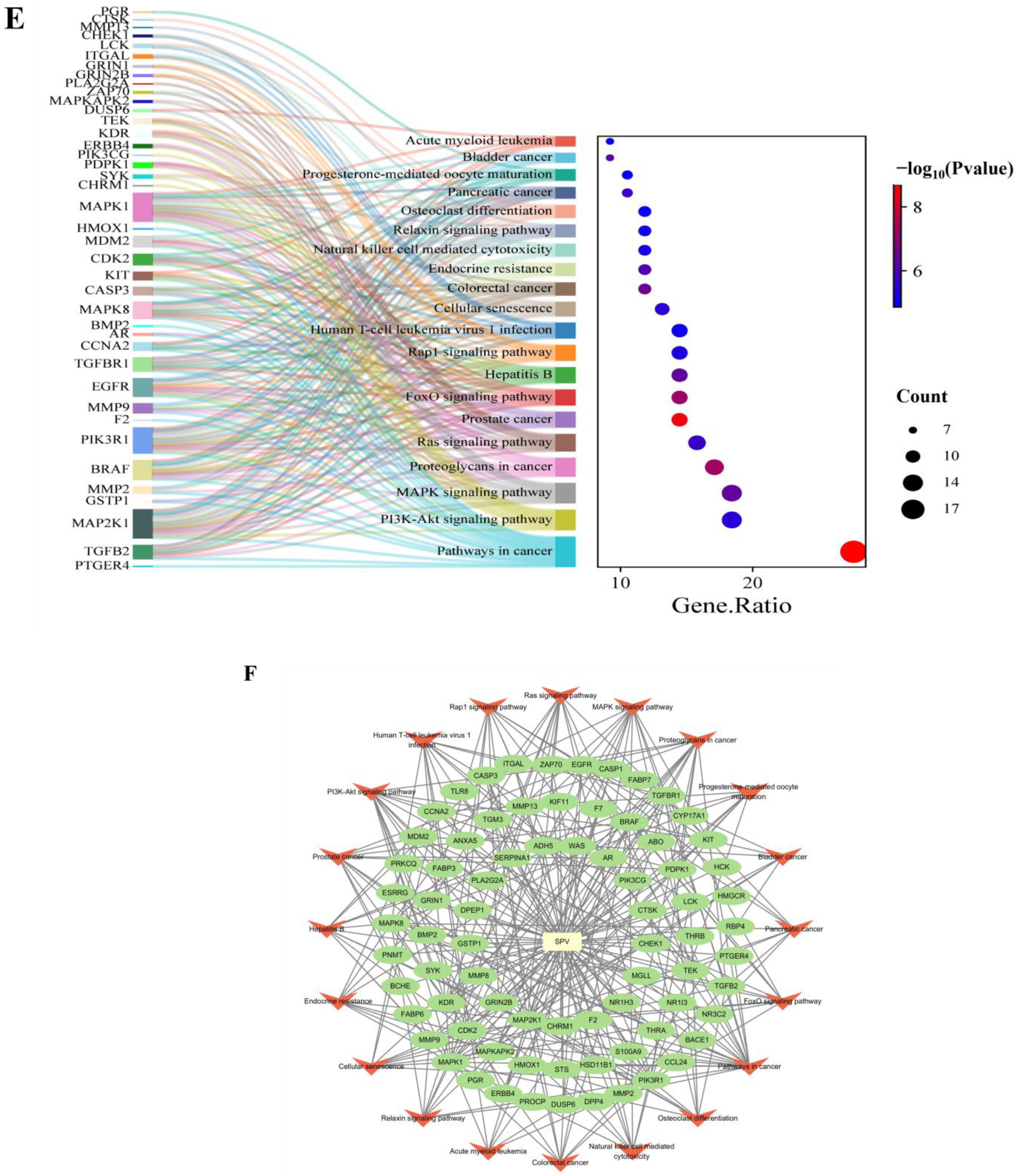 Pharmaceuticals 17 01318 g002b