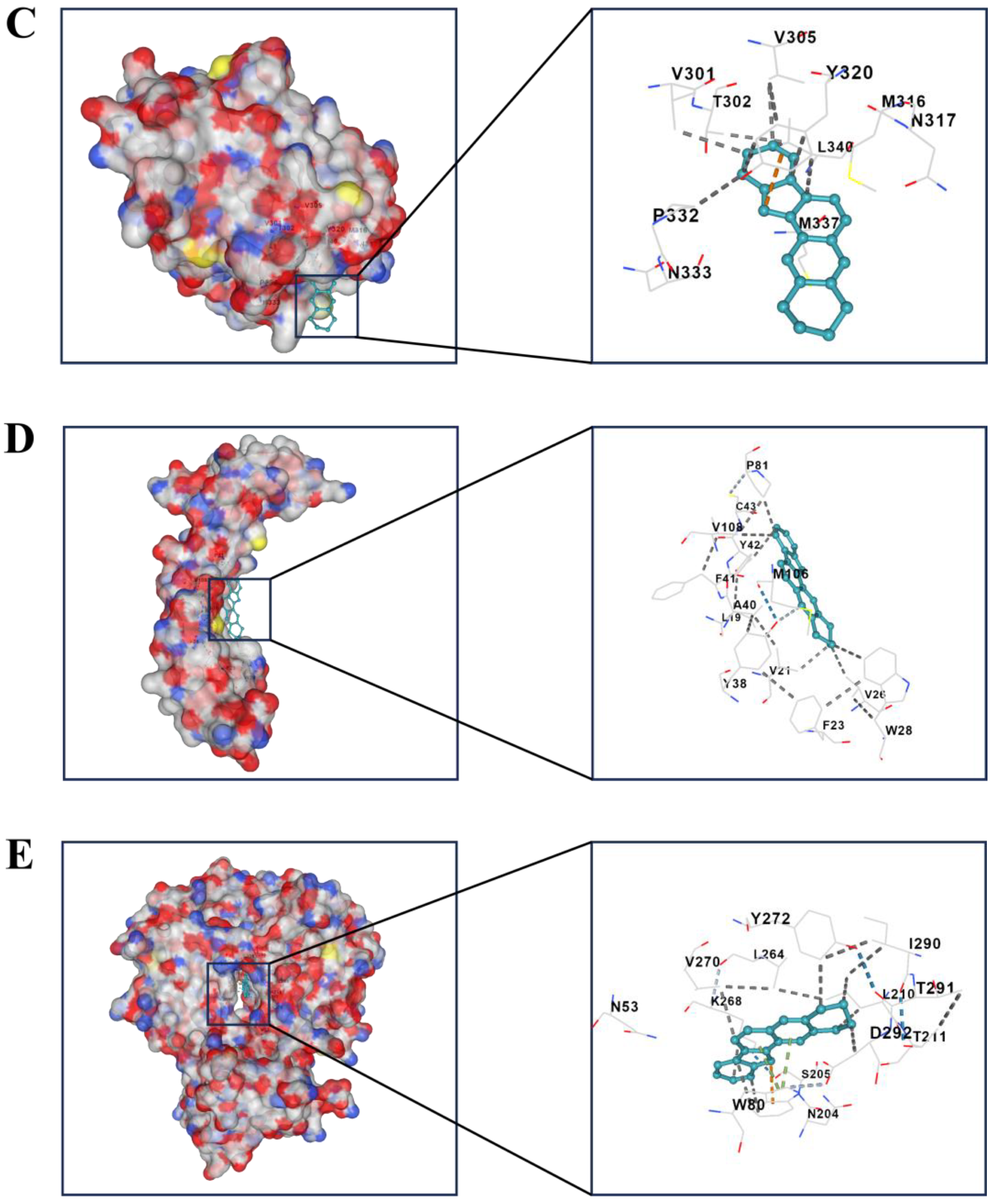 Pharmaceuticals 17 01318 g005b