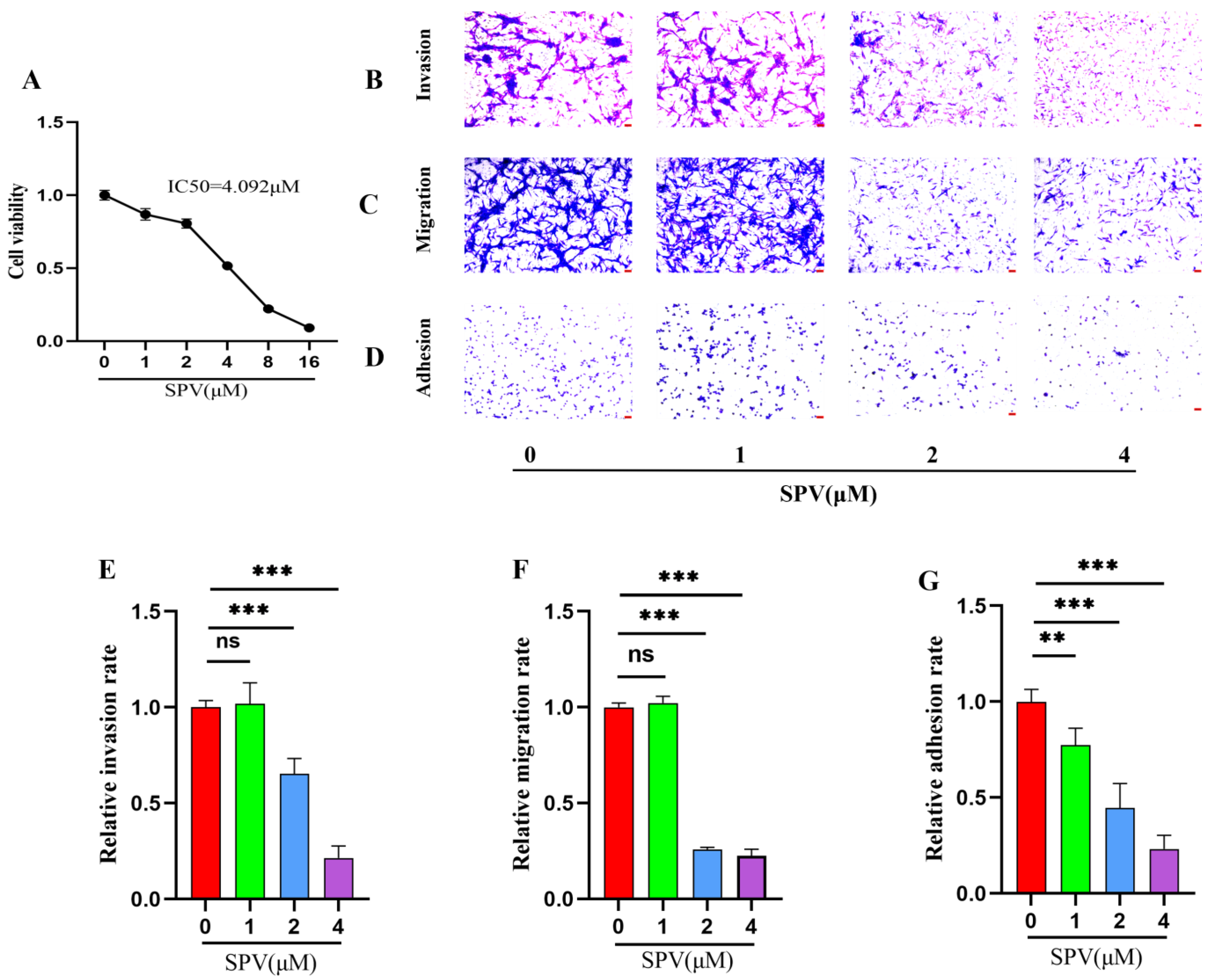 Pharmaceuticals 17 01318 g006