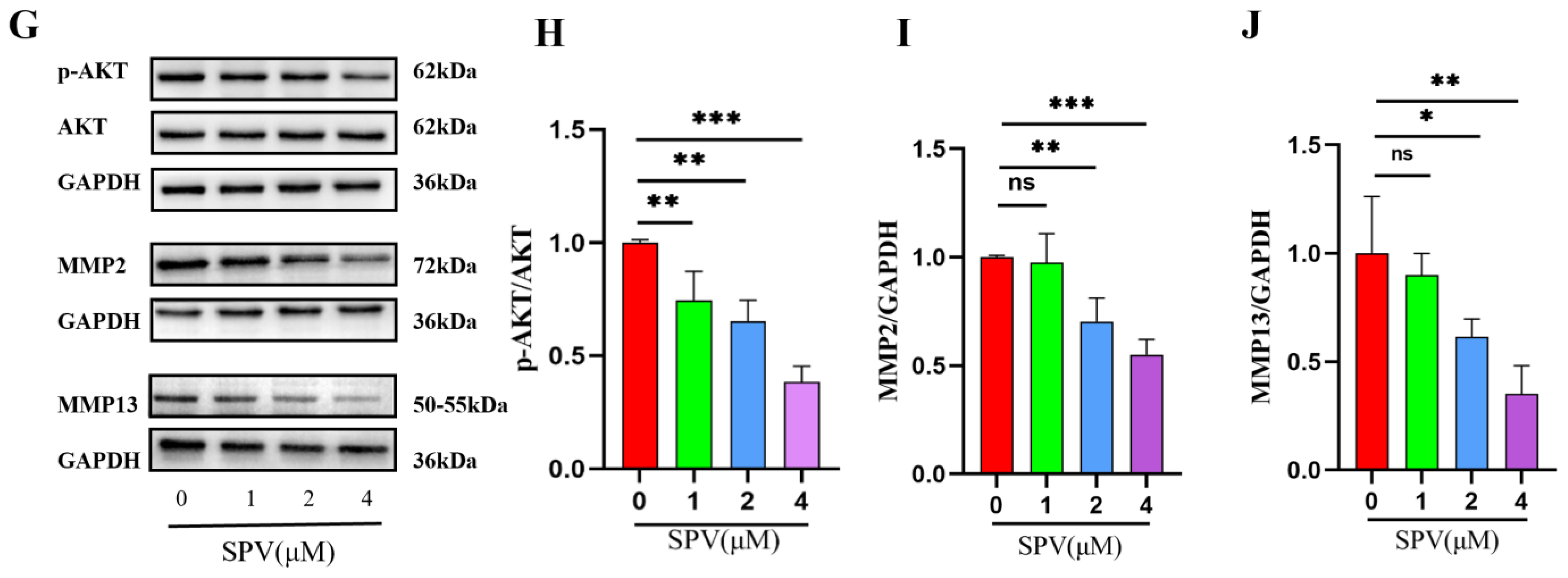 Pharmaceuticals 17 01318 g007b