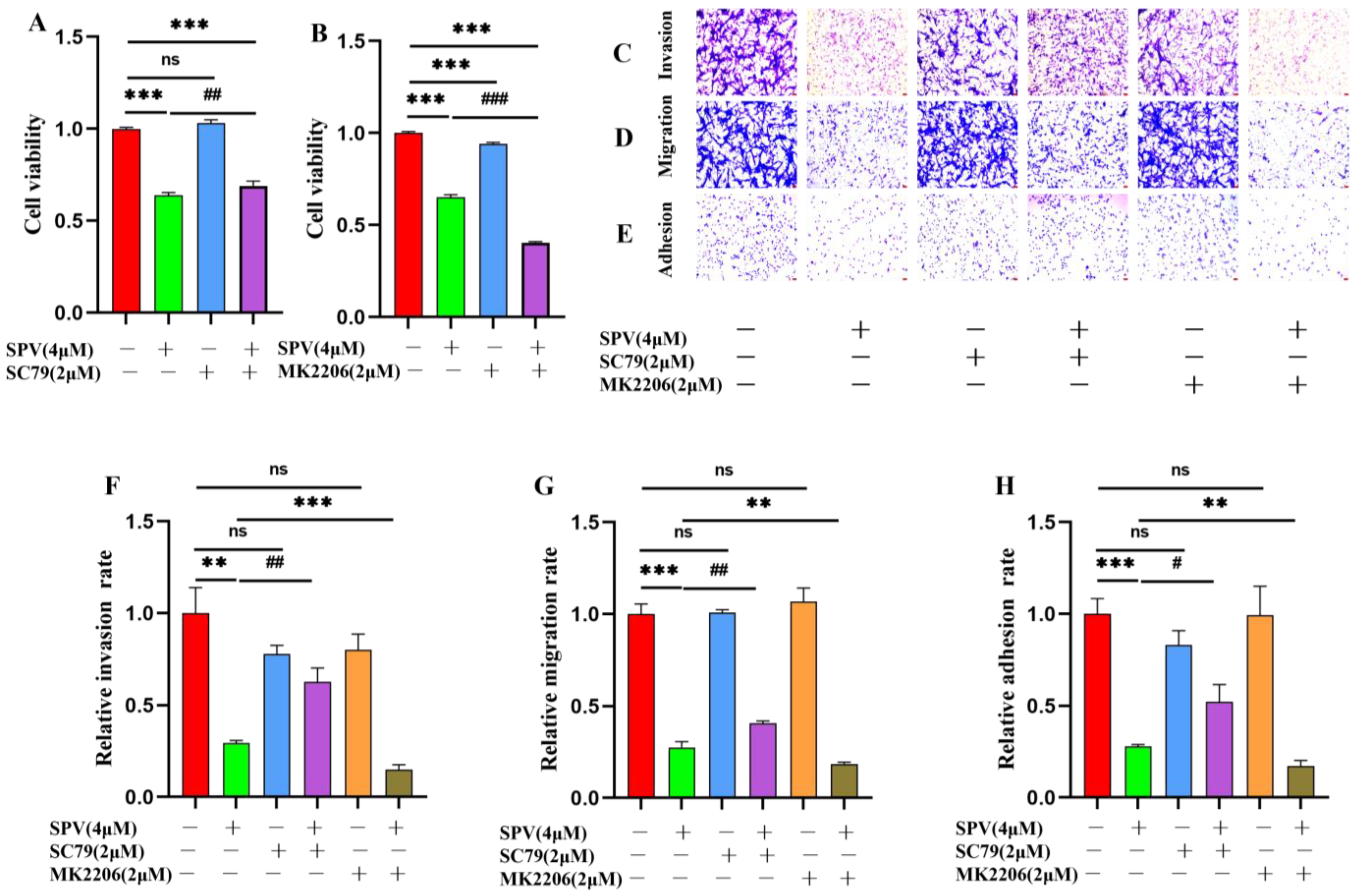 Pharmaceuticals 17 01318 g008