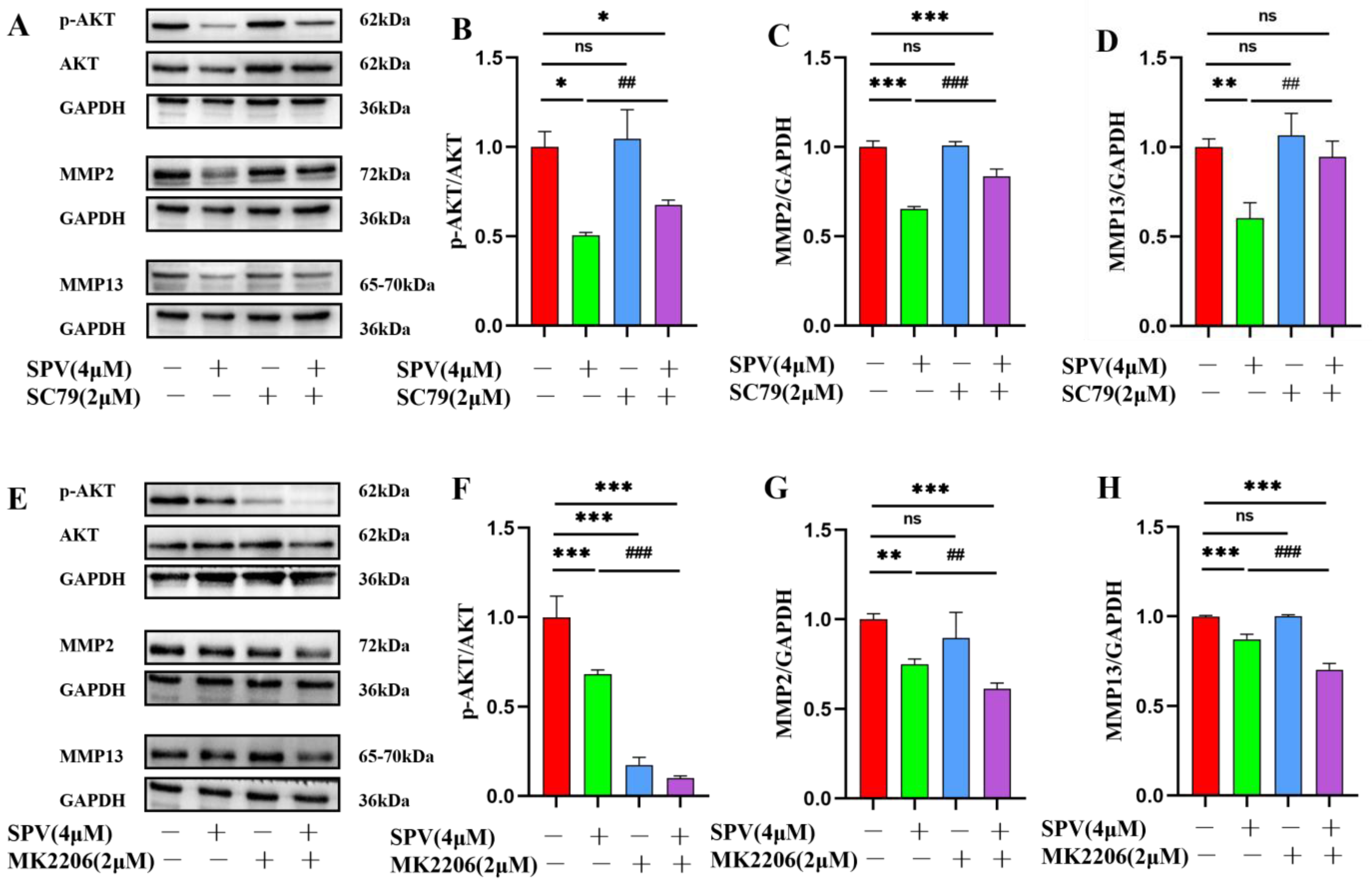 Pharmaceuticals 17 01318 g010