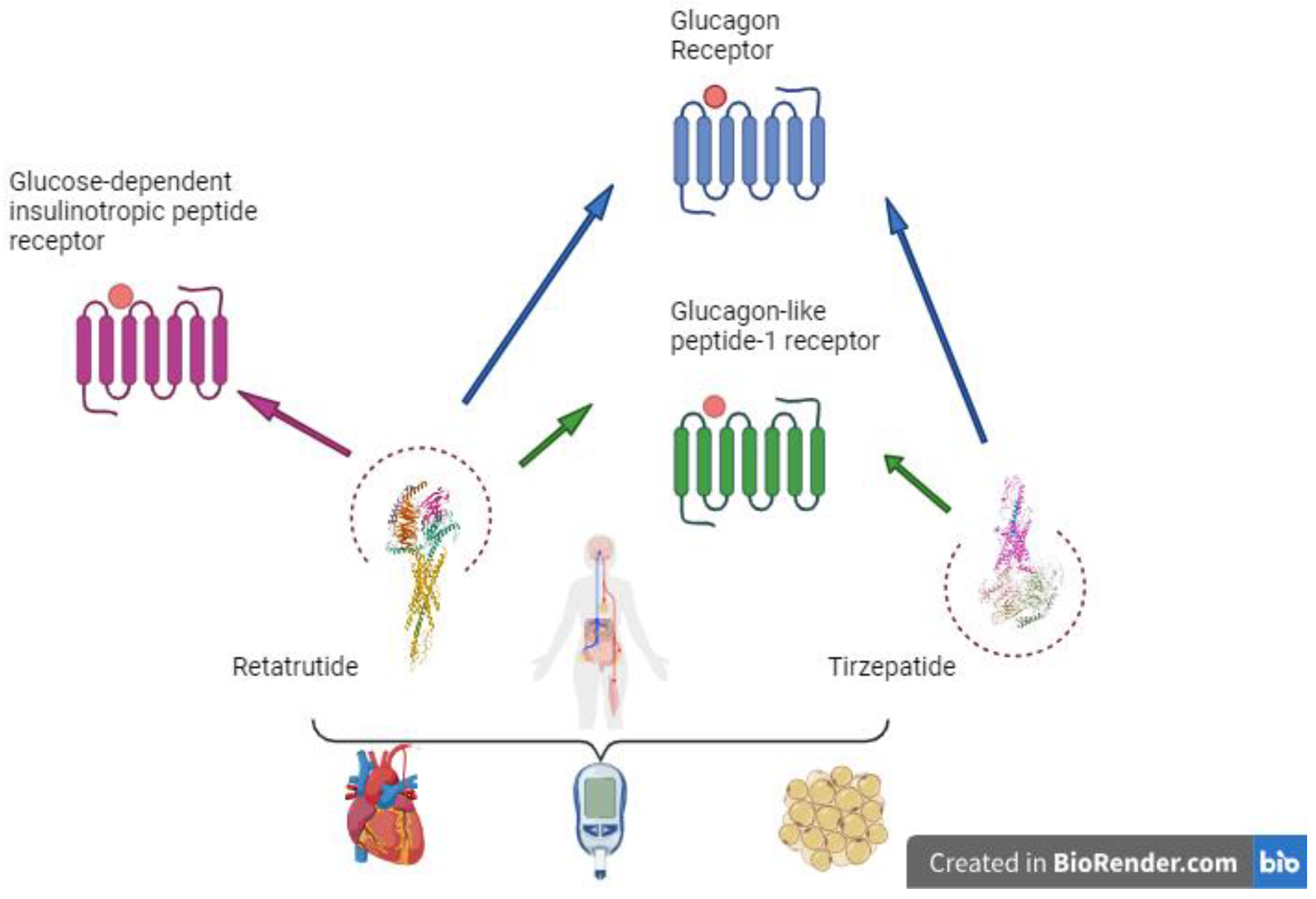 Pharmaceuticals 17 01322 g001