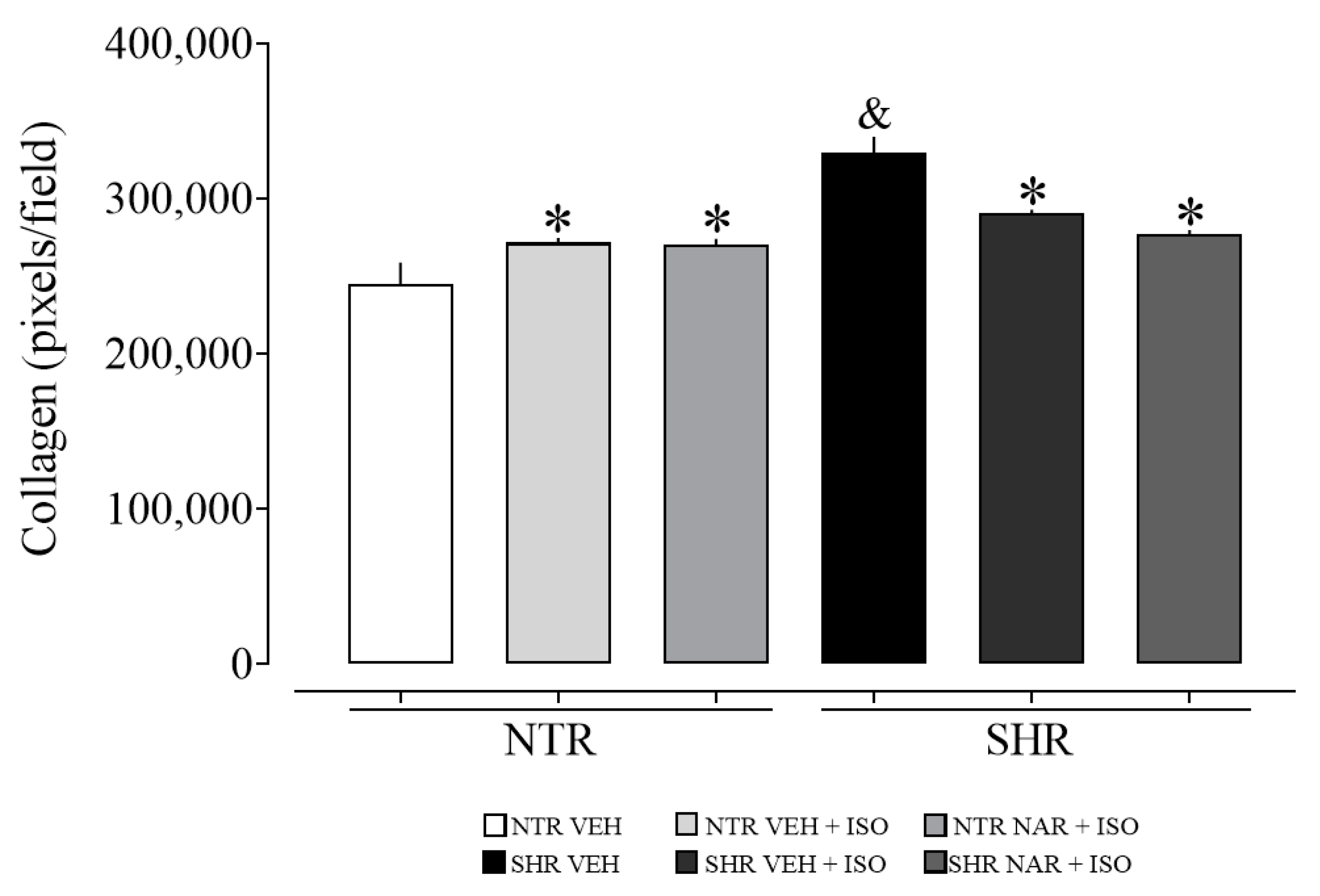 Pharmaceuticals 17 01324 g008