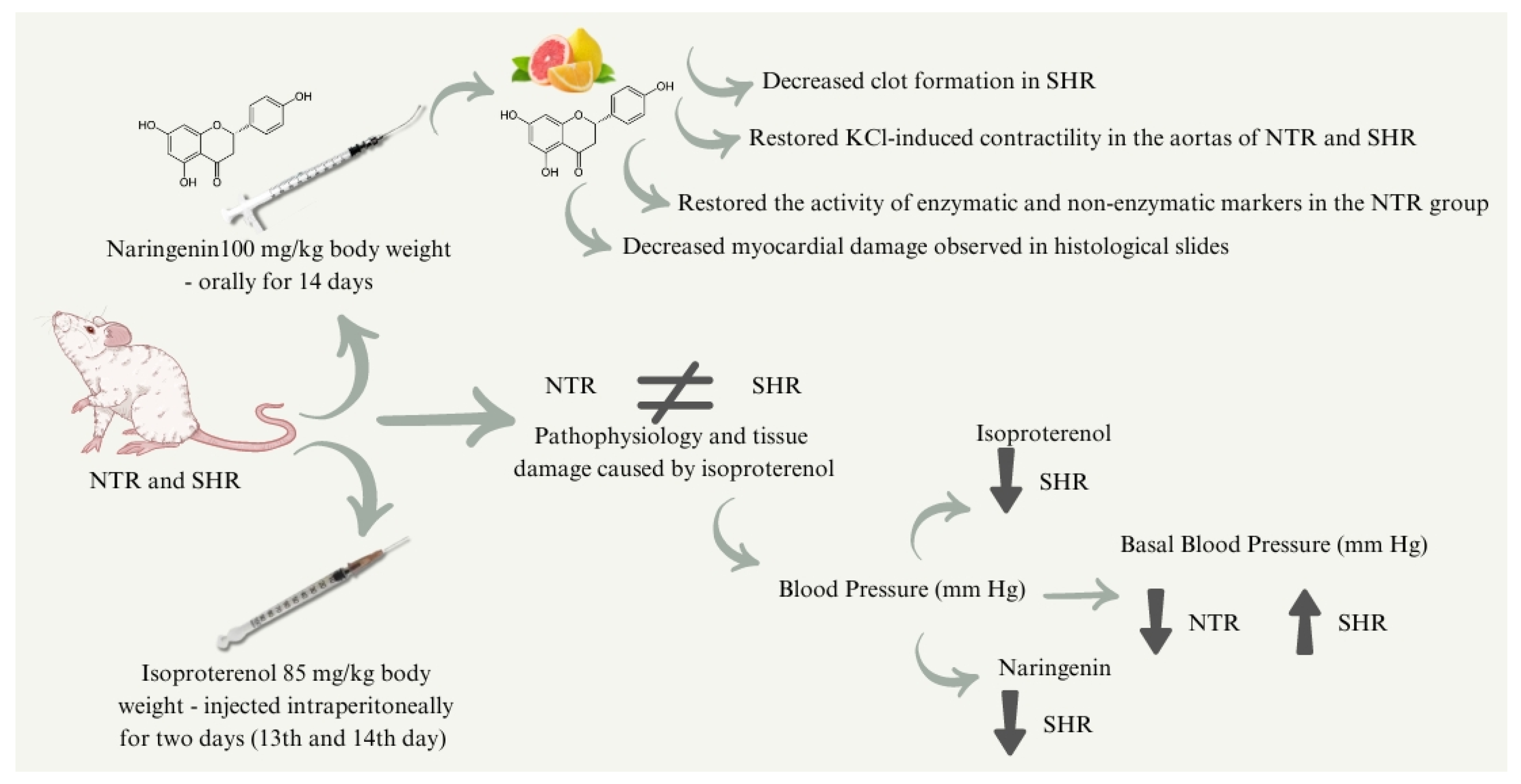 Pharmaceuticals 17 01324 g009