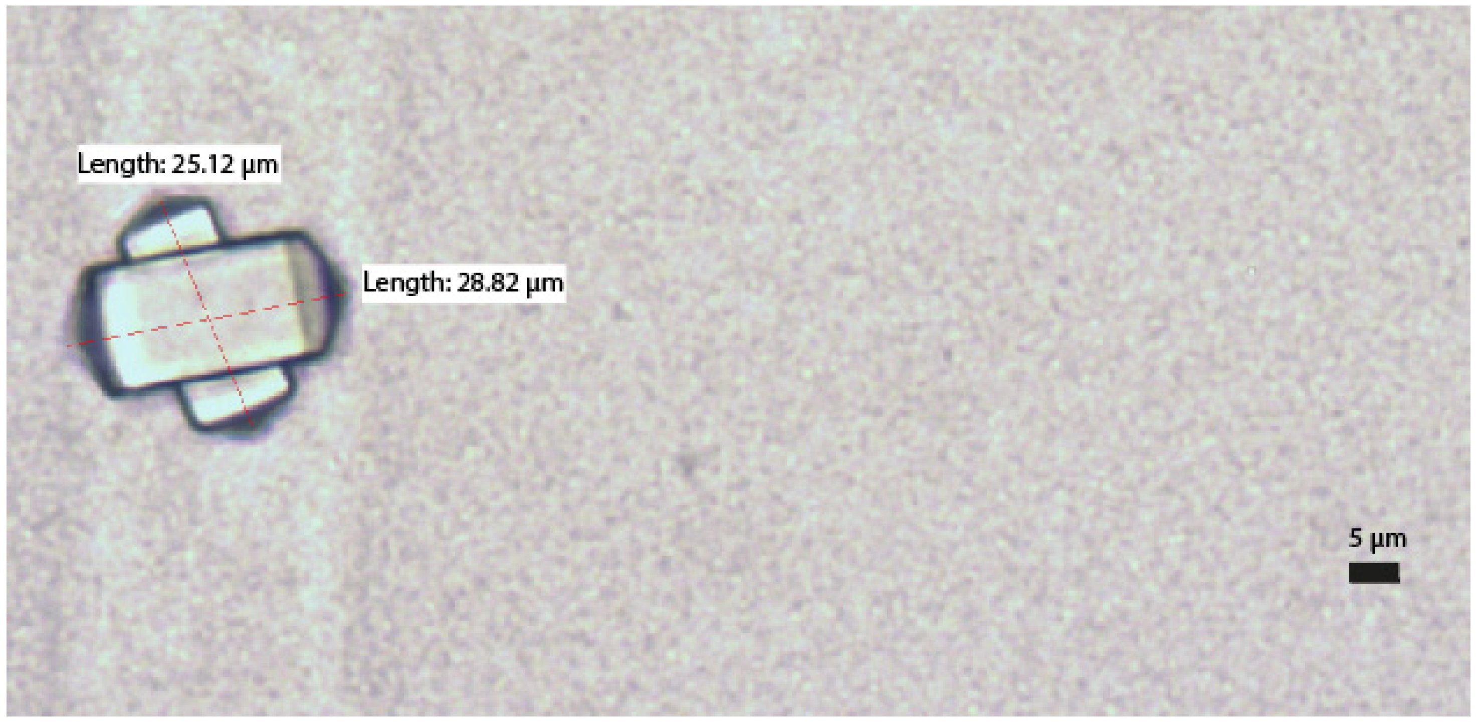 Pharmaceuticals 17 01330 g002