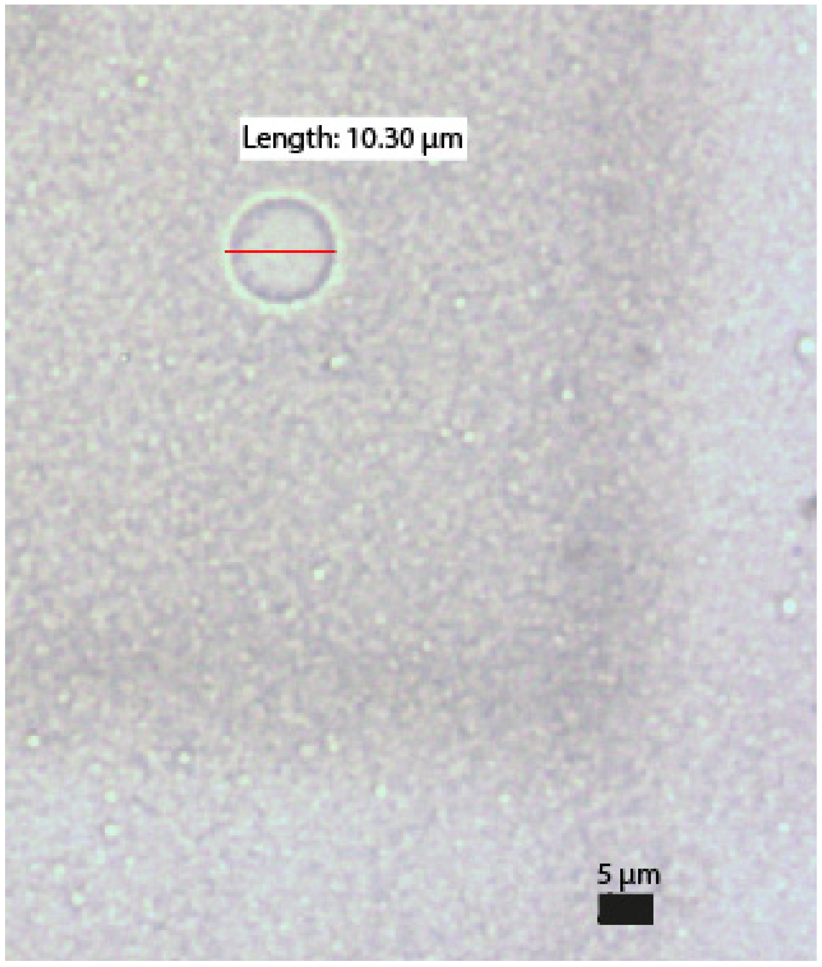 Pharmaceuticals 17 01330 g004