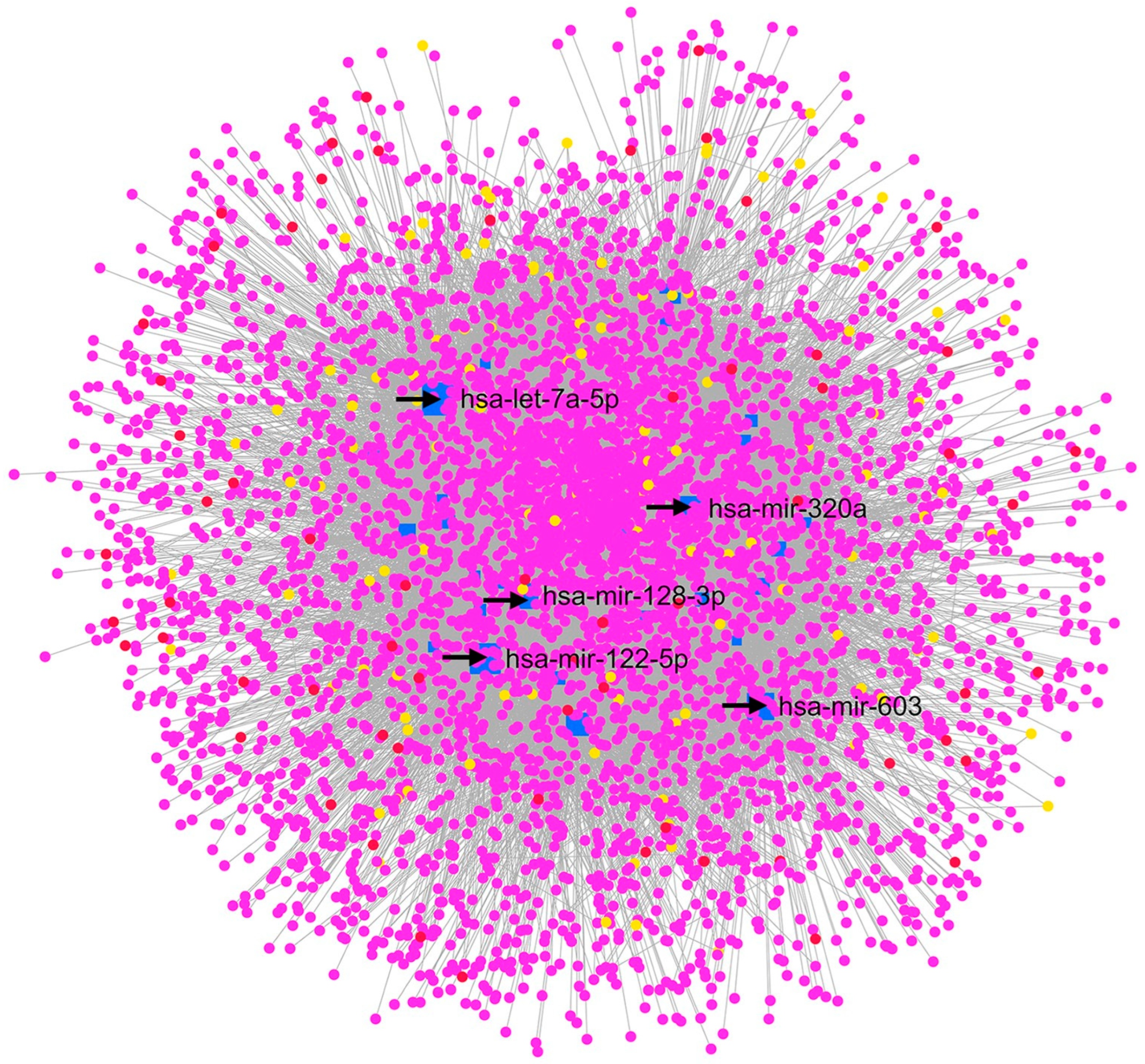 Pharmaceuticals 17 01333 g003