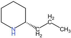 Pharmaceuticals 17 01339 i010
